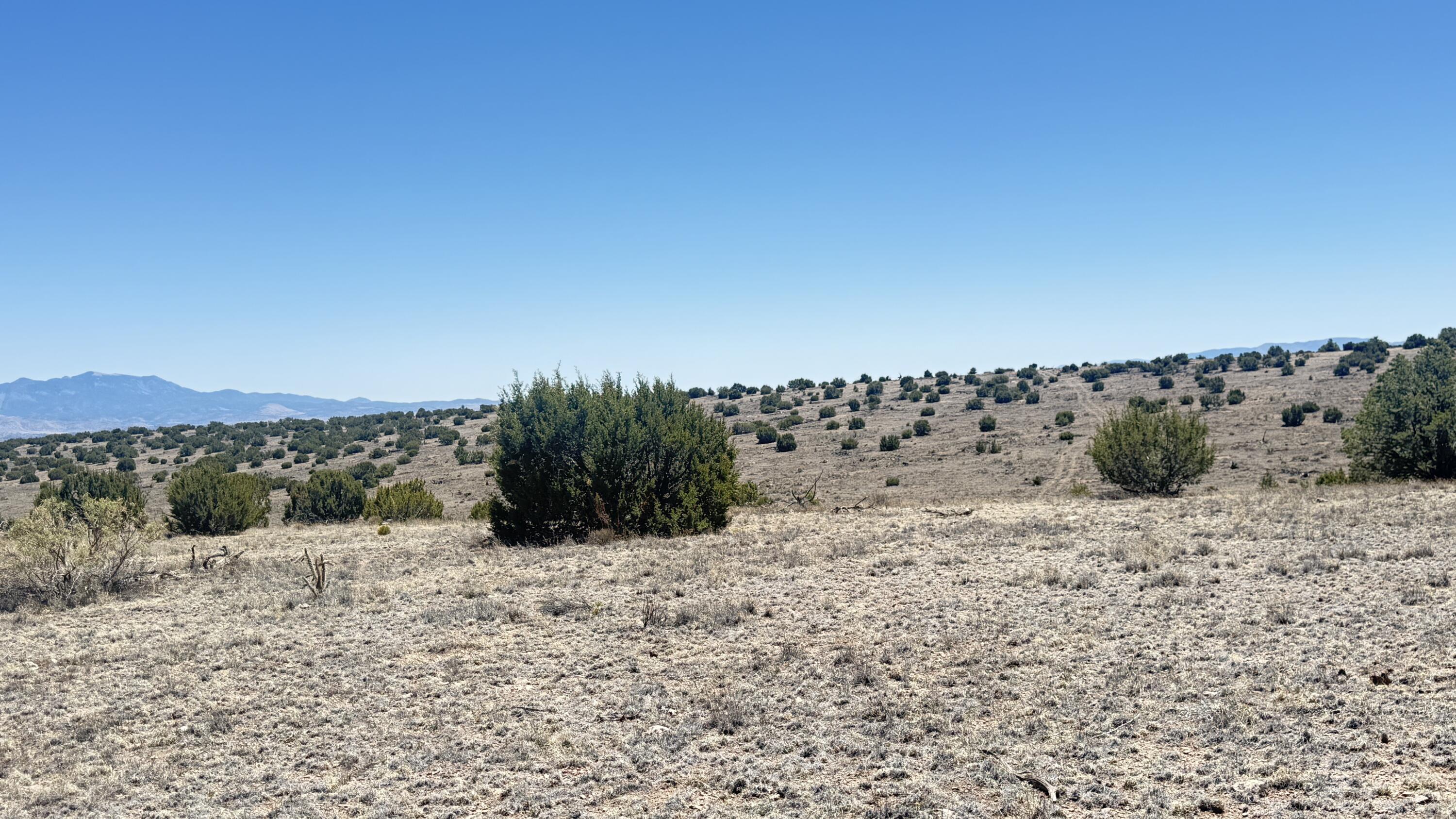 Lot 161 Pinon Springs