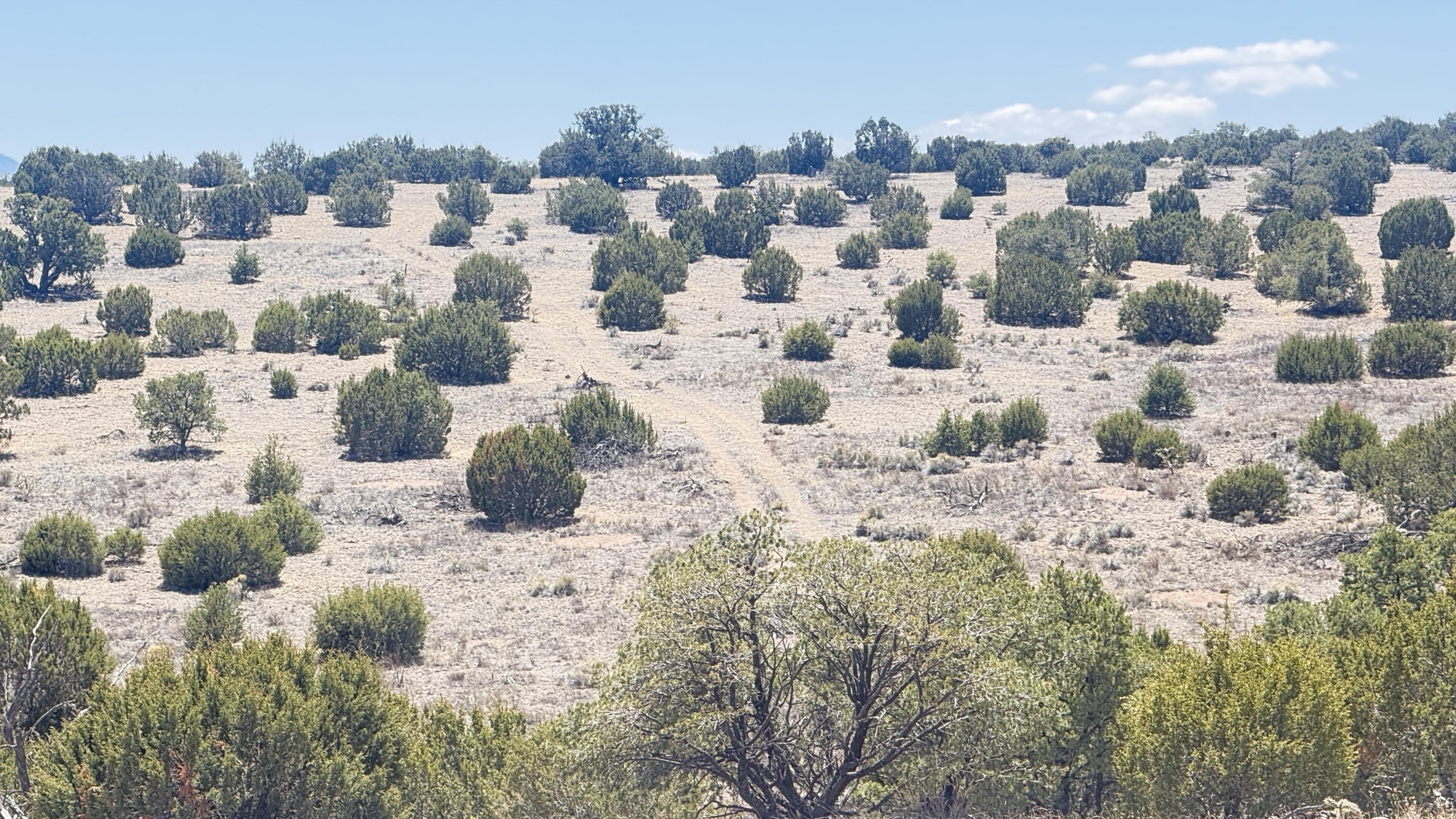 Lot 161 Pinon Springs