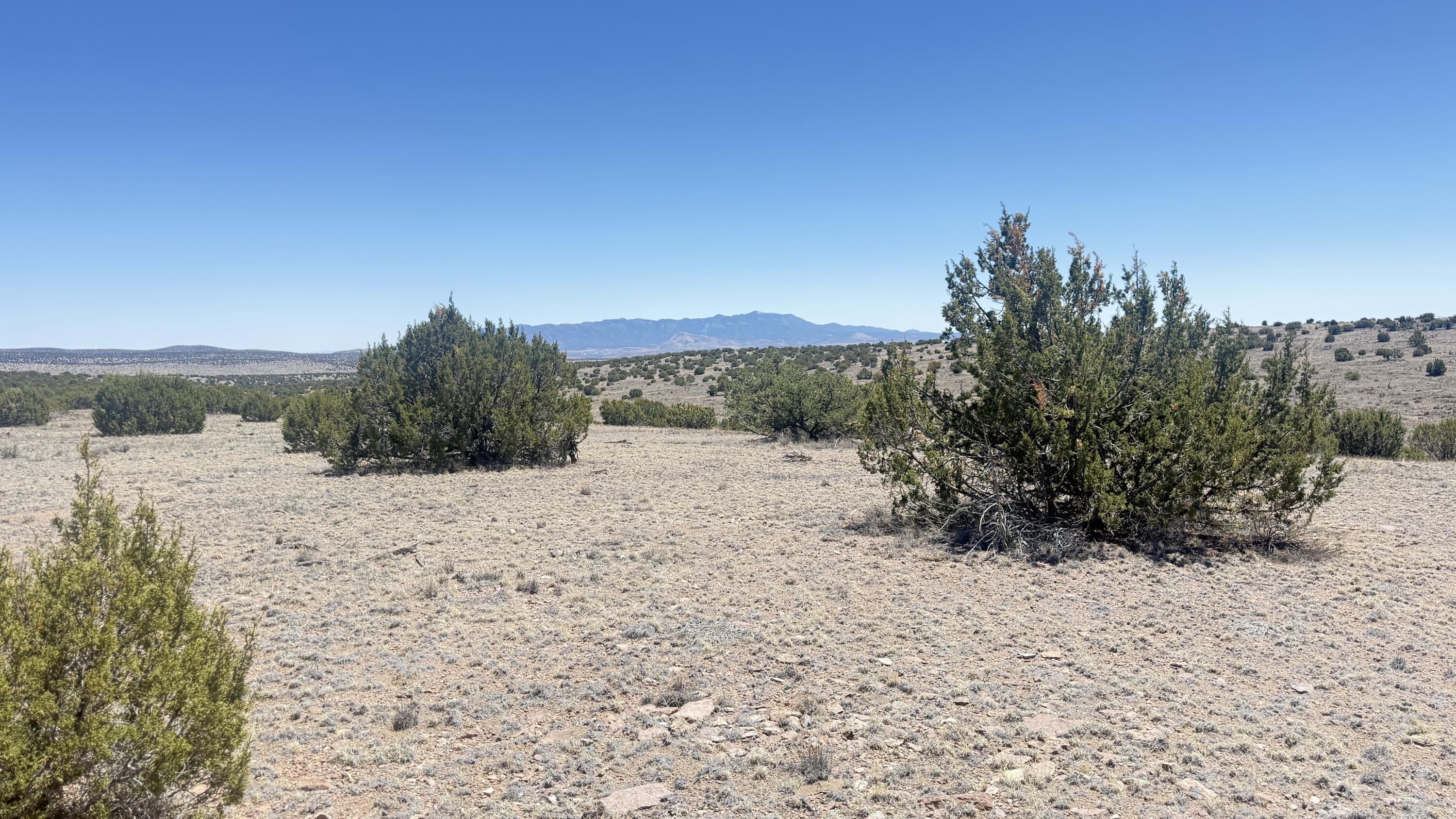 Lot 161 Pinon Springs
