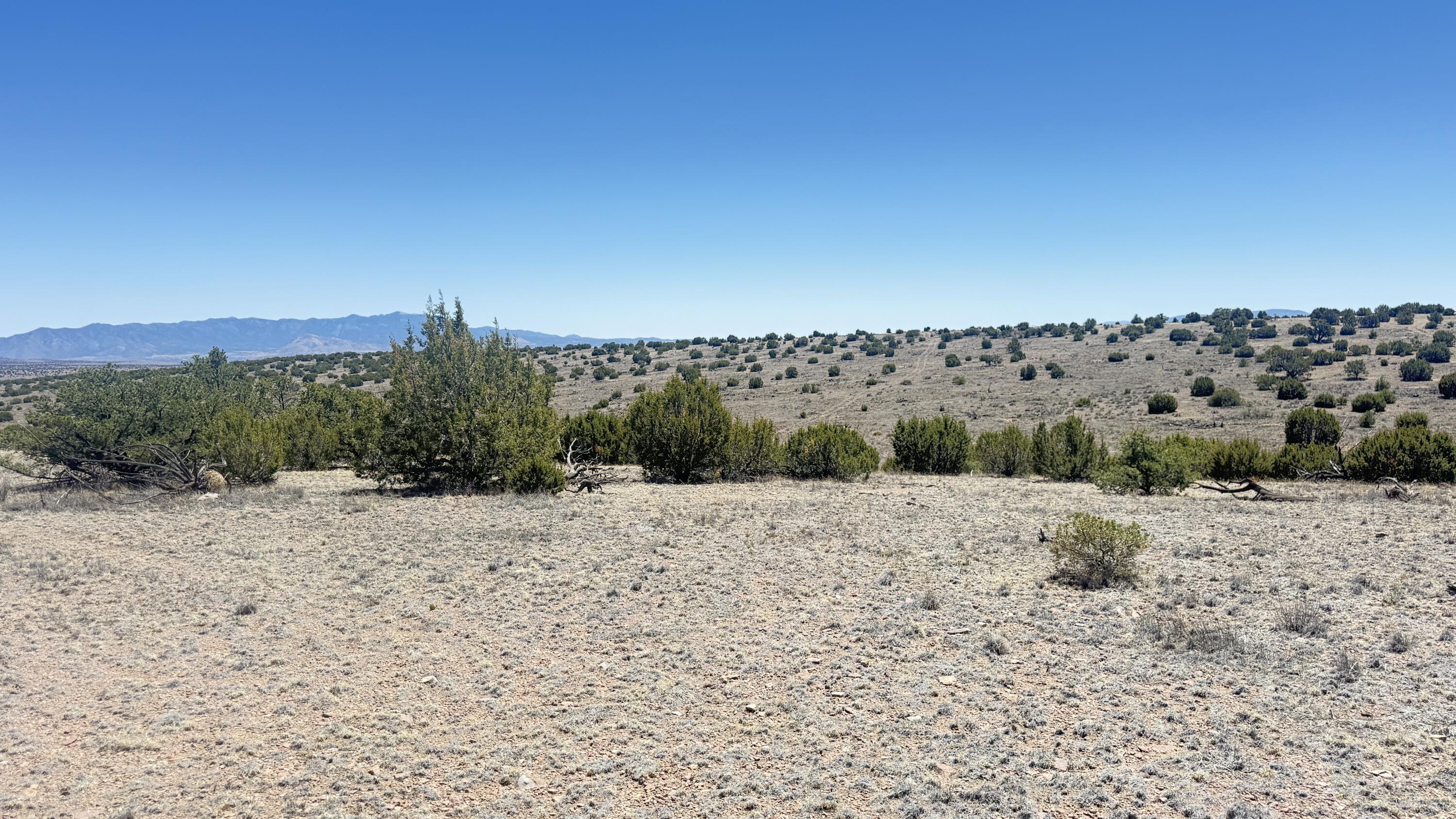 Lot 161 Pinon Springs