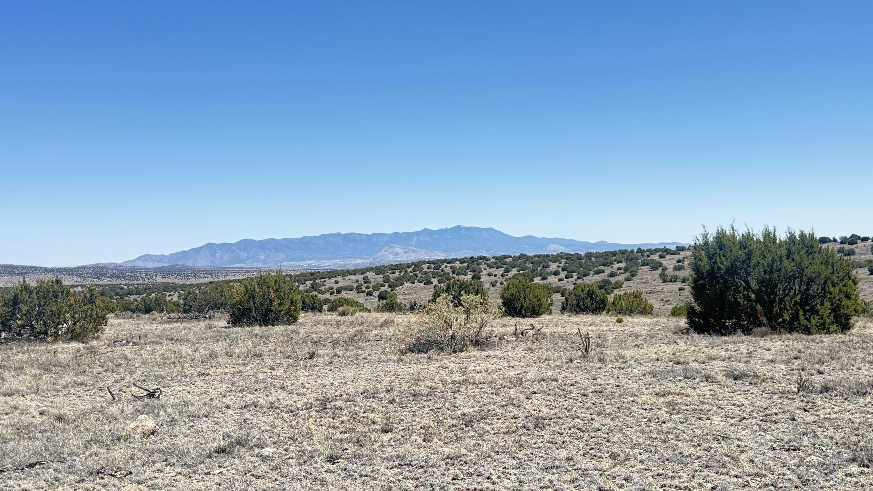 Lot 161 Pinon Springs