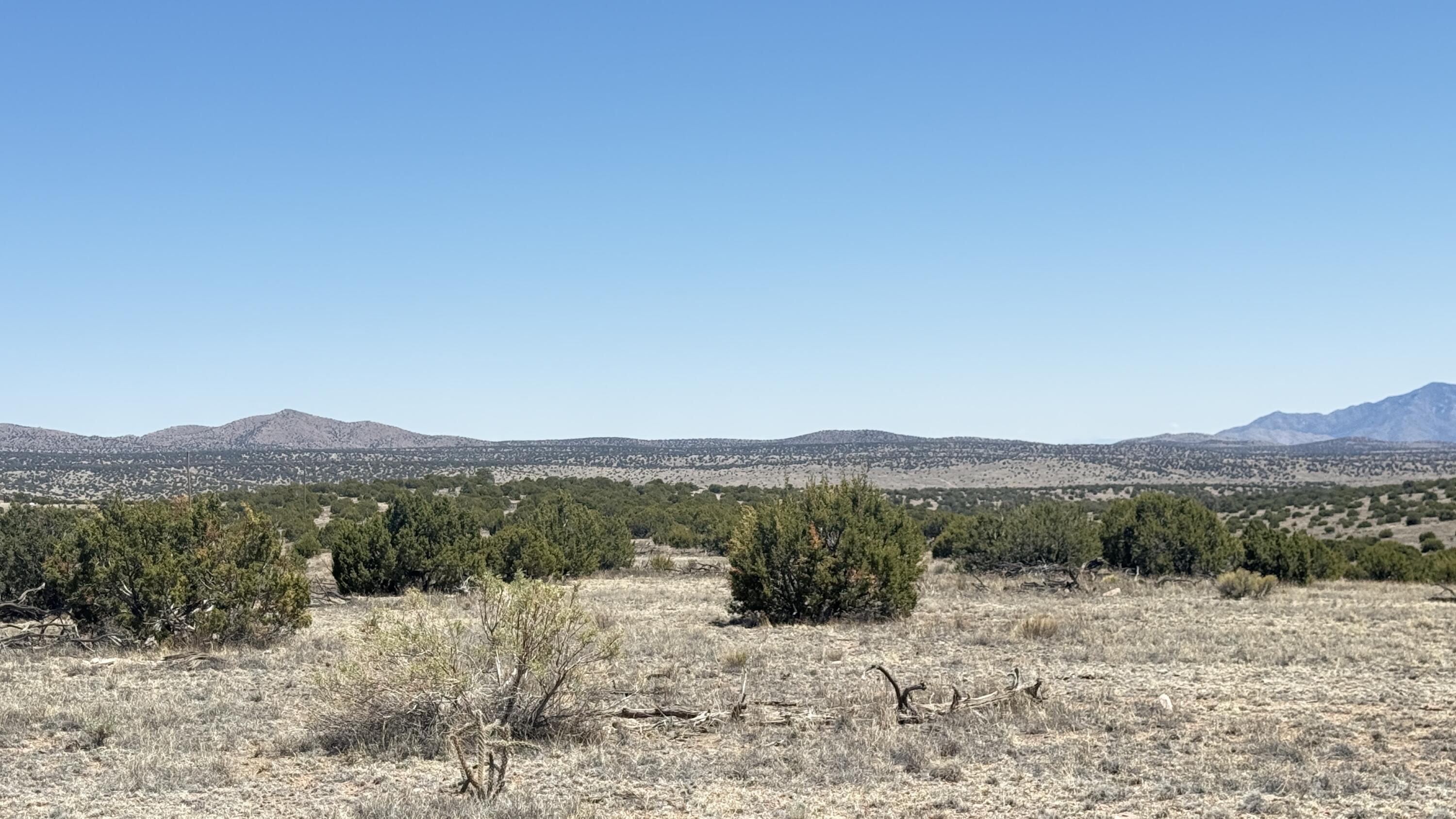 Lot 161 Pinon Springs