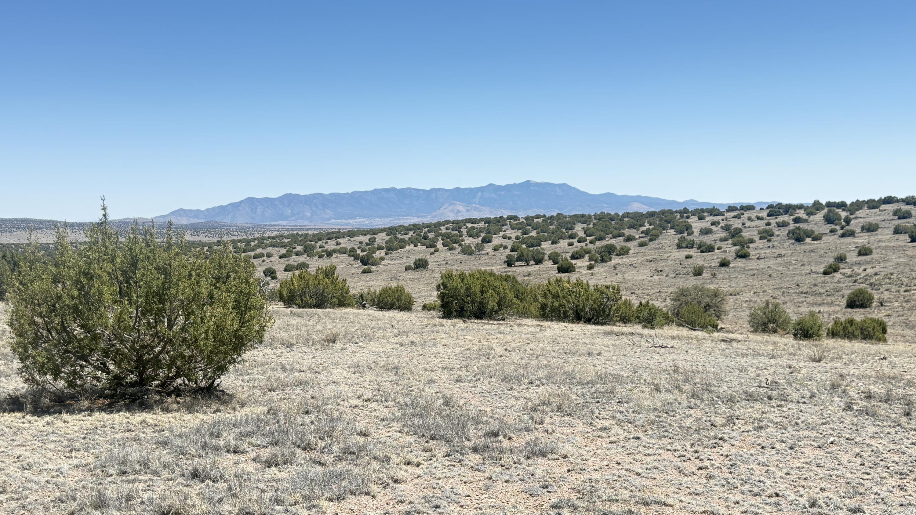 Lot 161 Pinon Springs