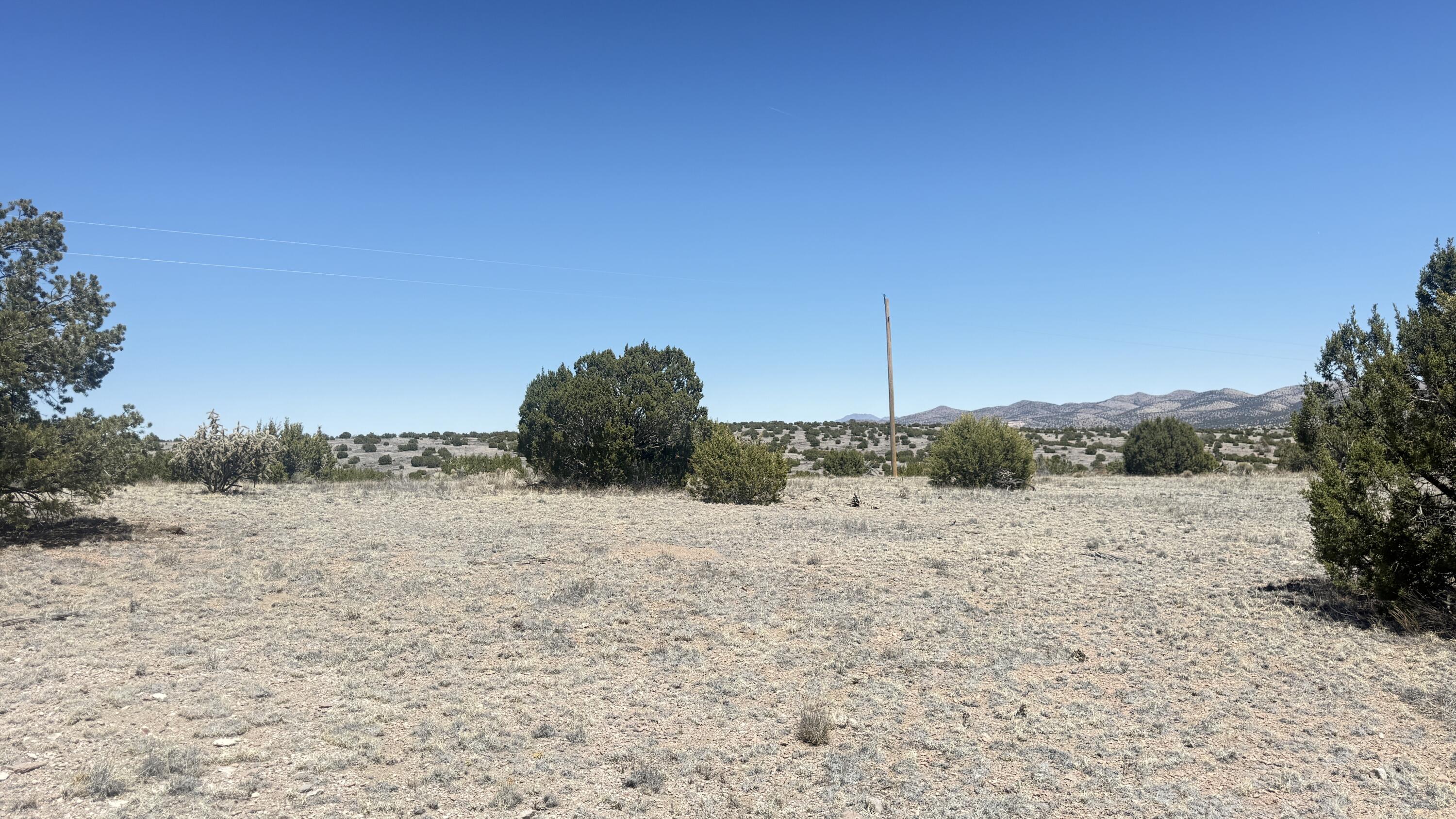 Lot 161 Pinon Springs