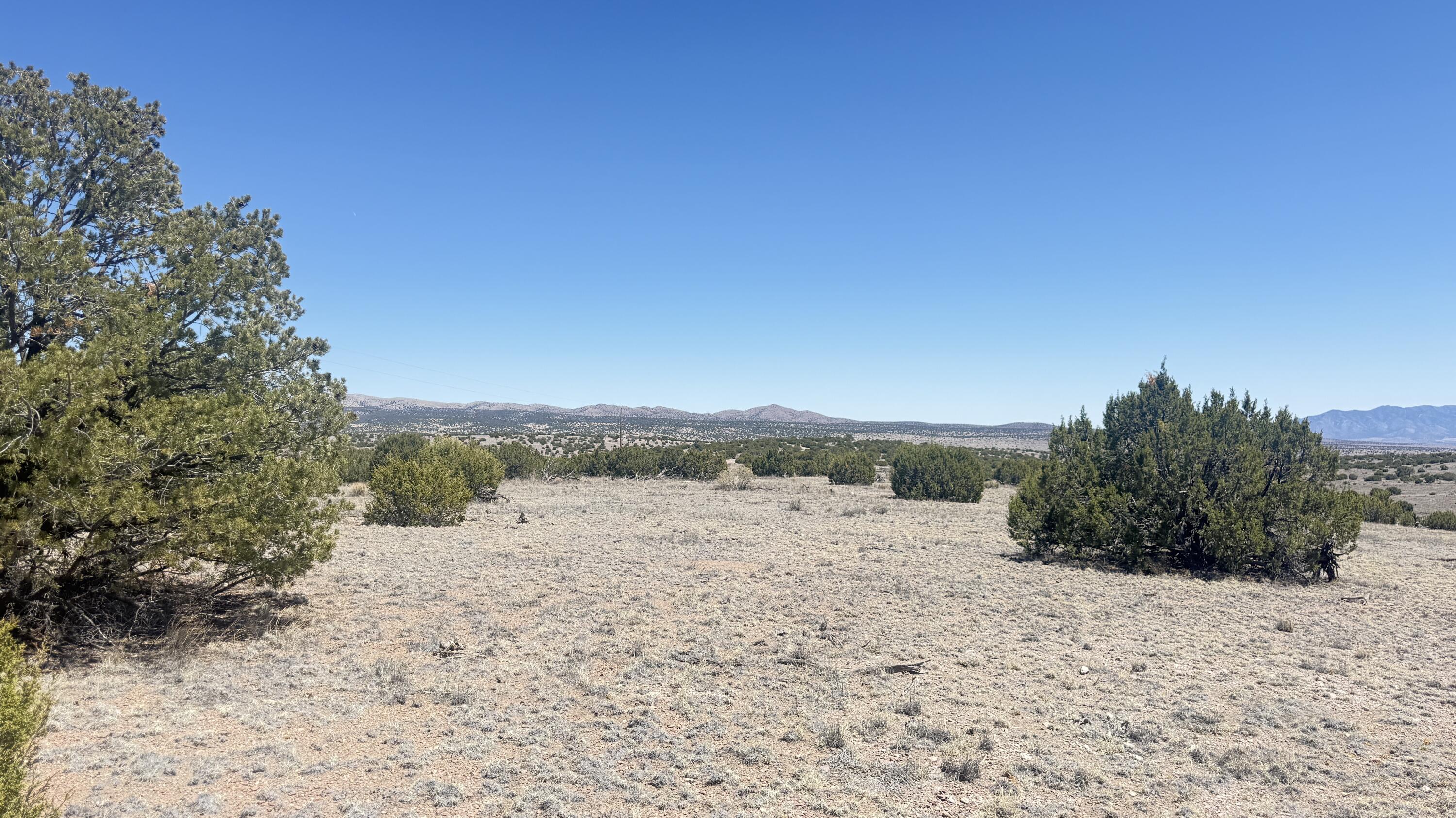 Lot 161 Pinon Springs