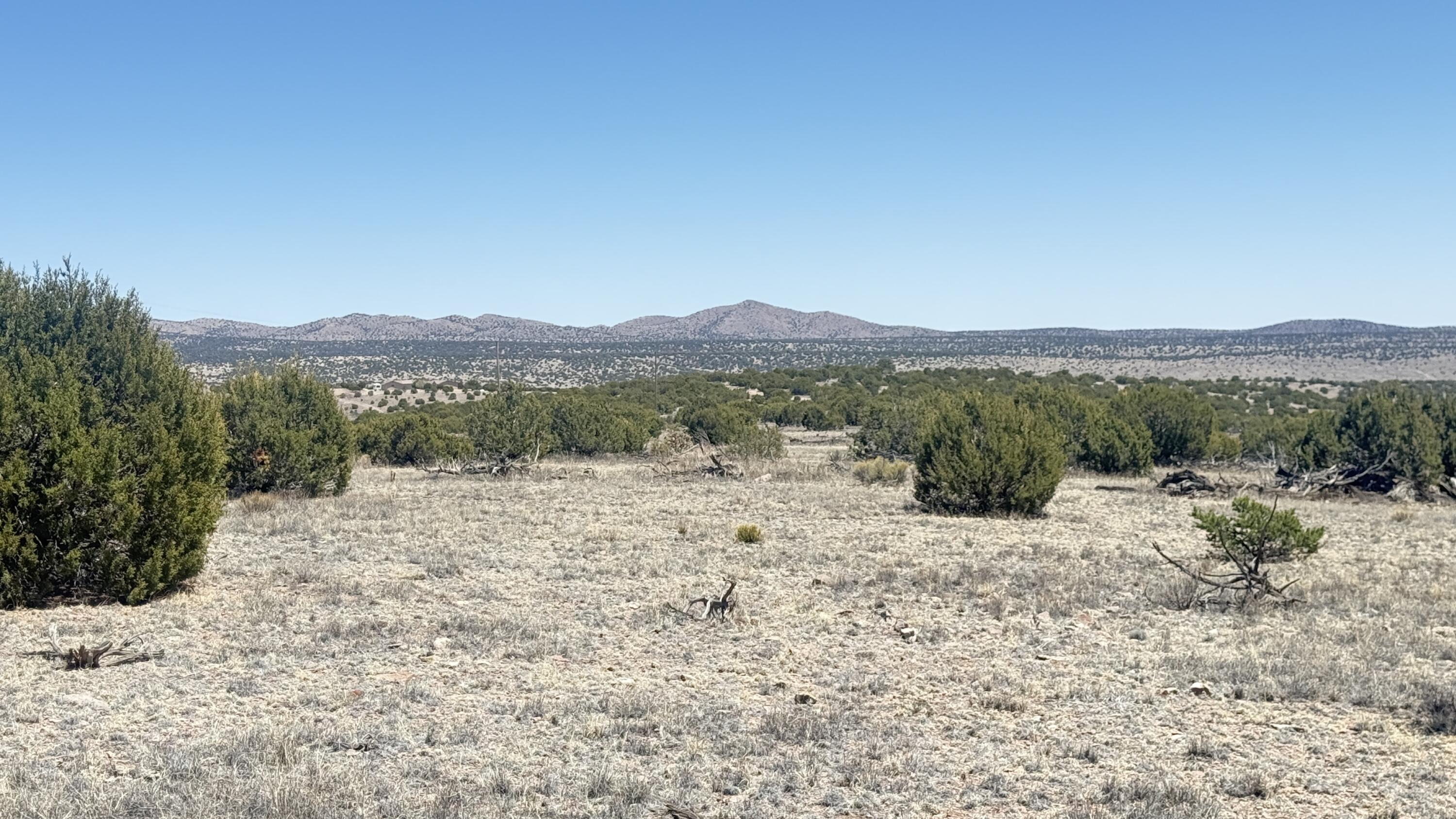 Lot 161 Pinon Springs