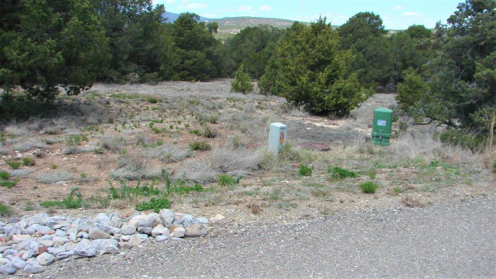 5 Red Fox Court