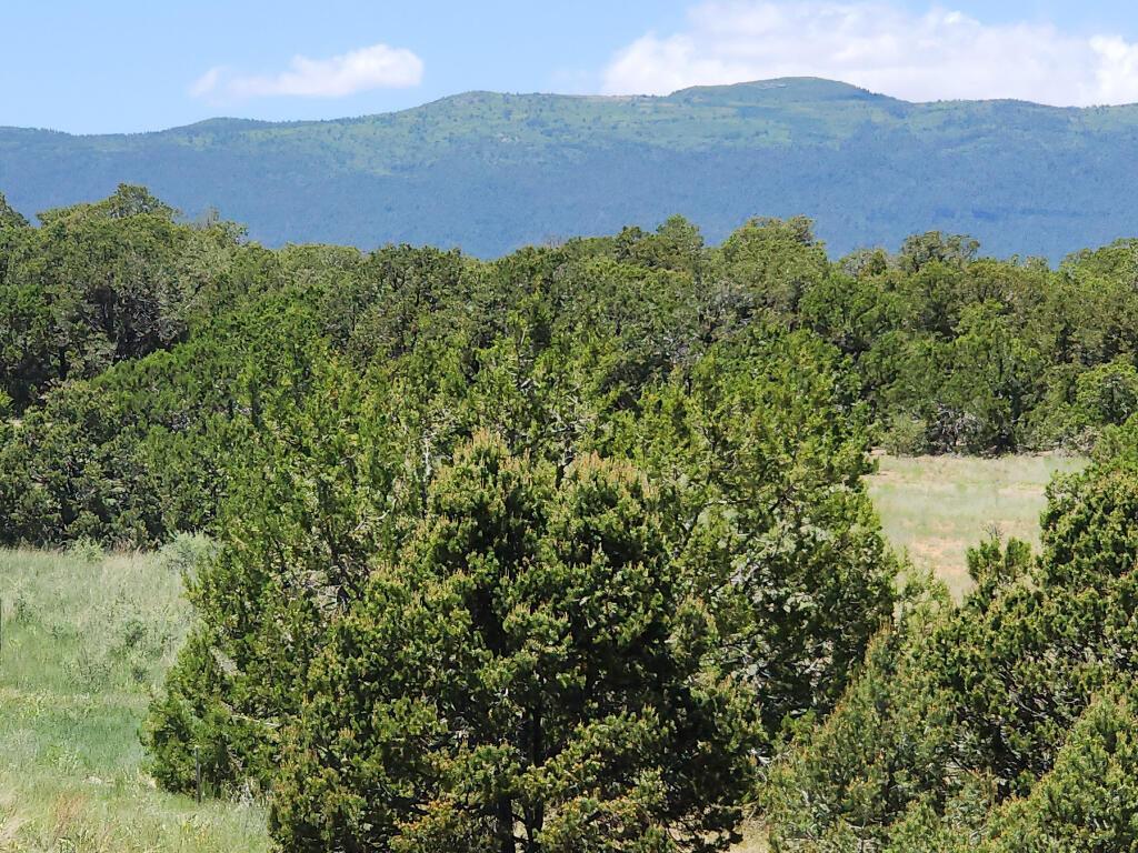 5 Red Fox Court