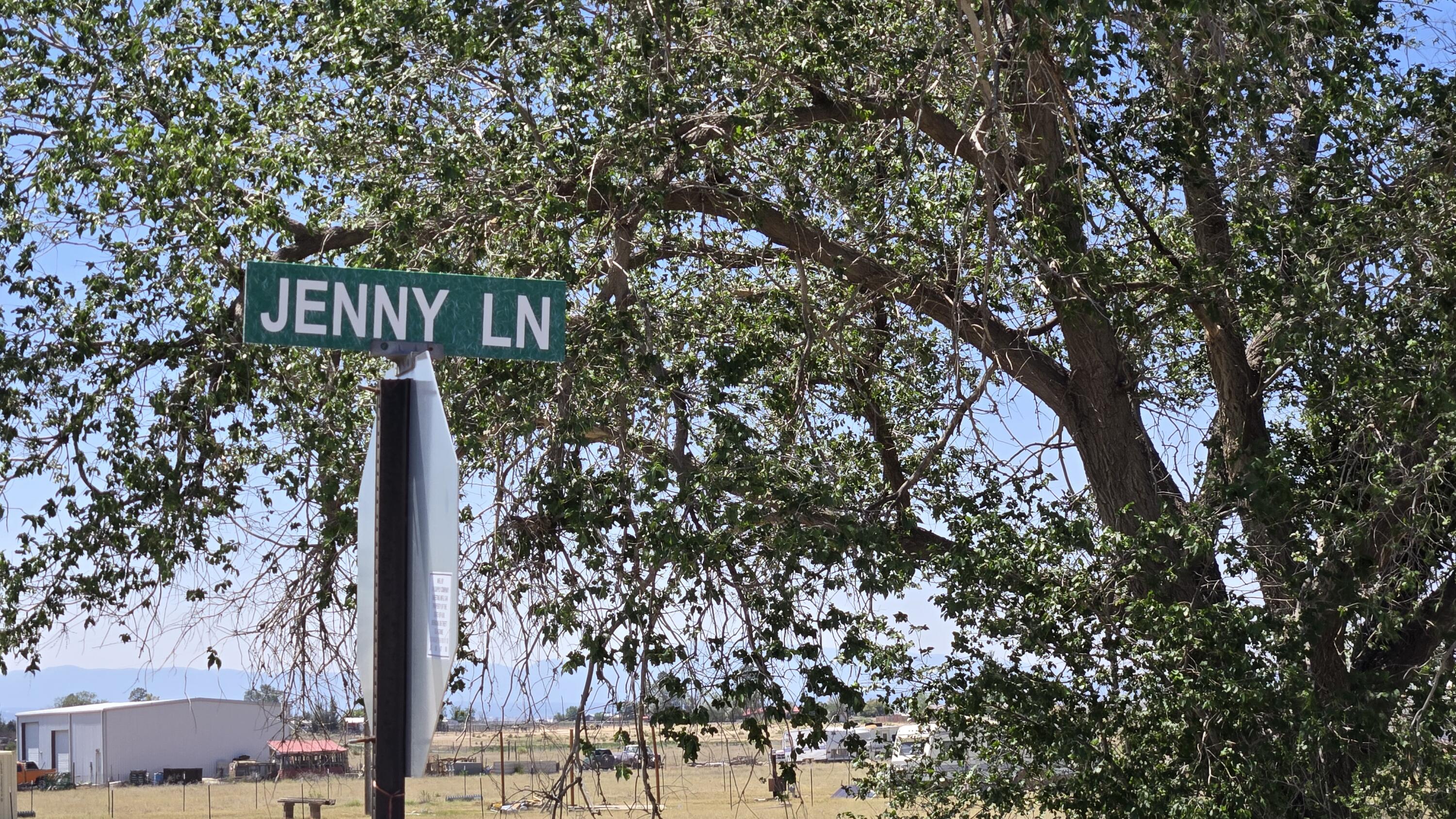 Abrahames Street