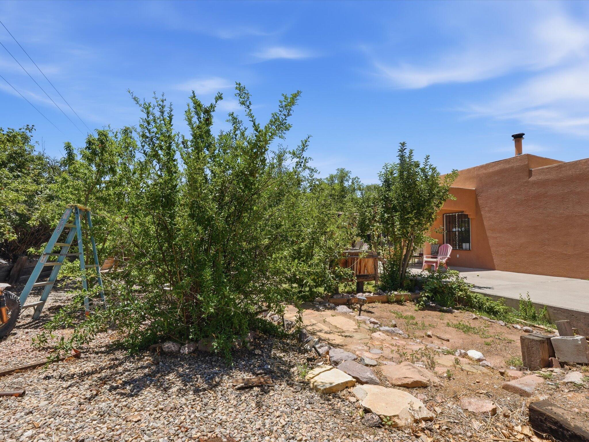 342 Sunset Farm Place SW