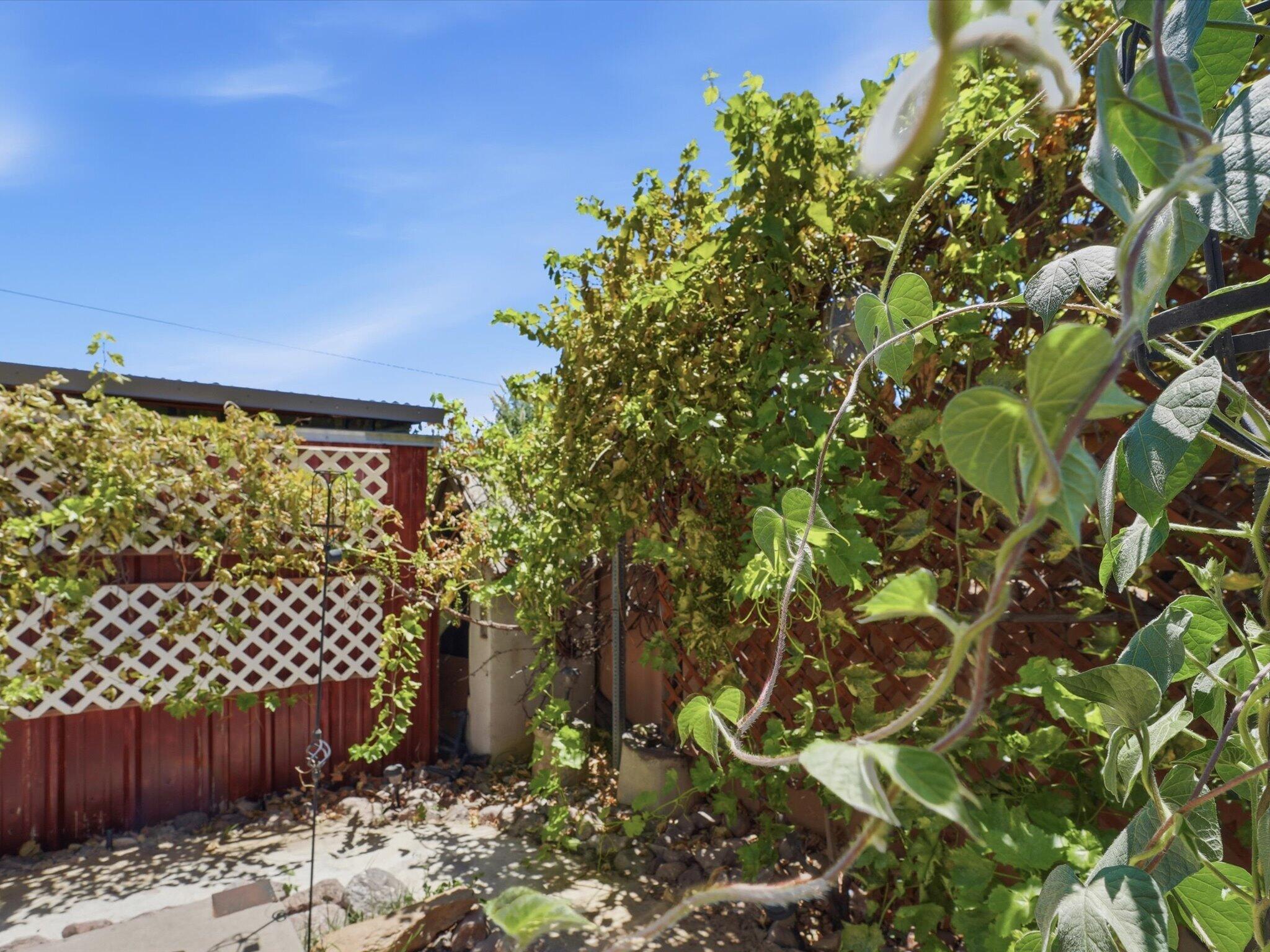 342 Sunset Farm Place SW