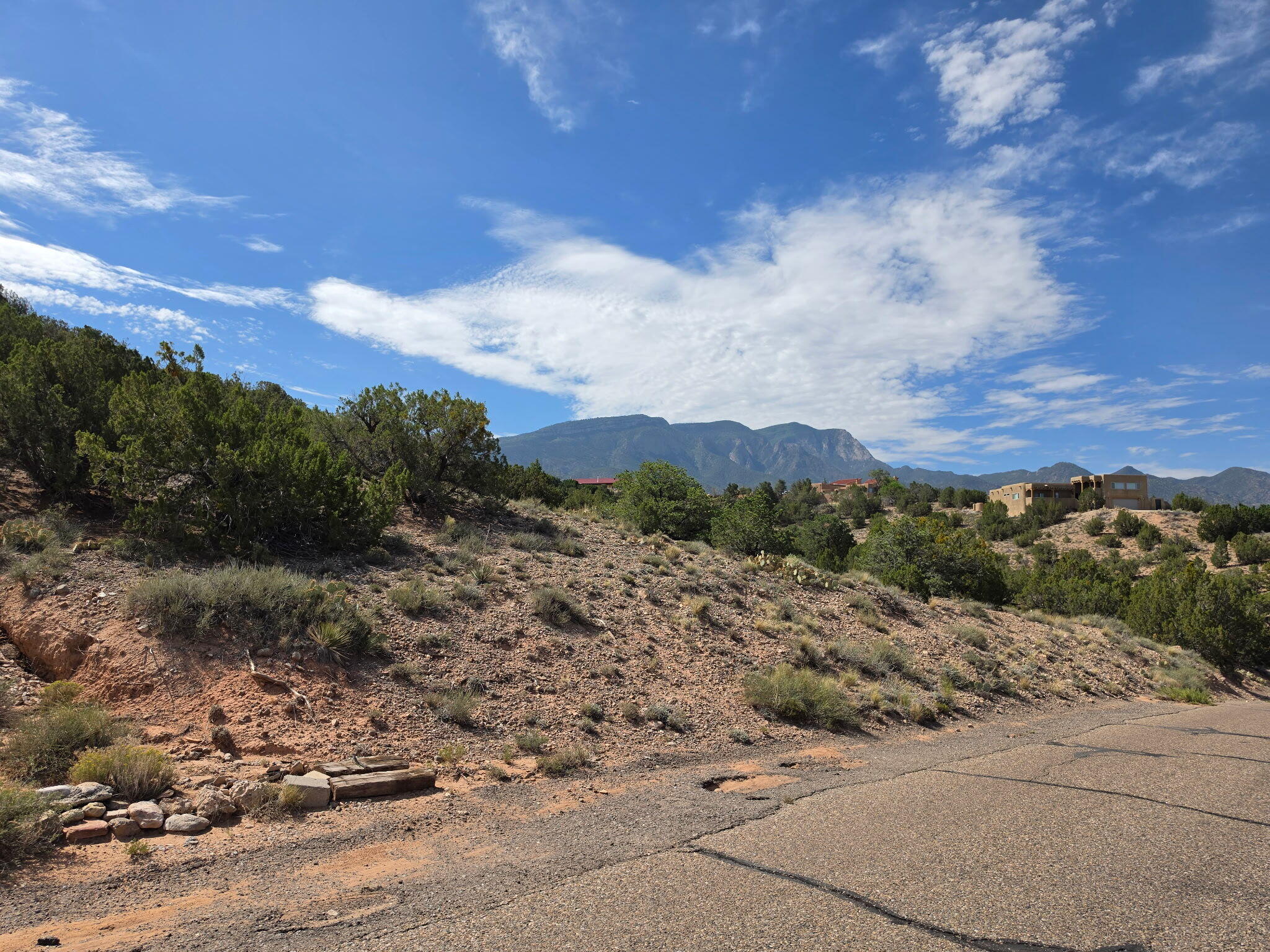 Yucca (Lot 105) Lane
