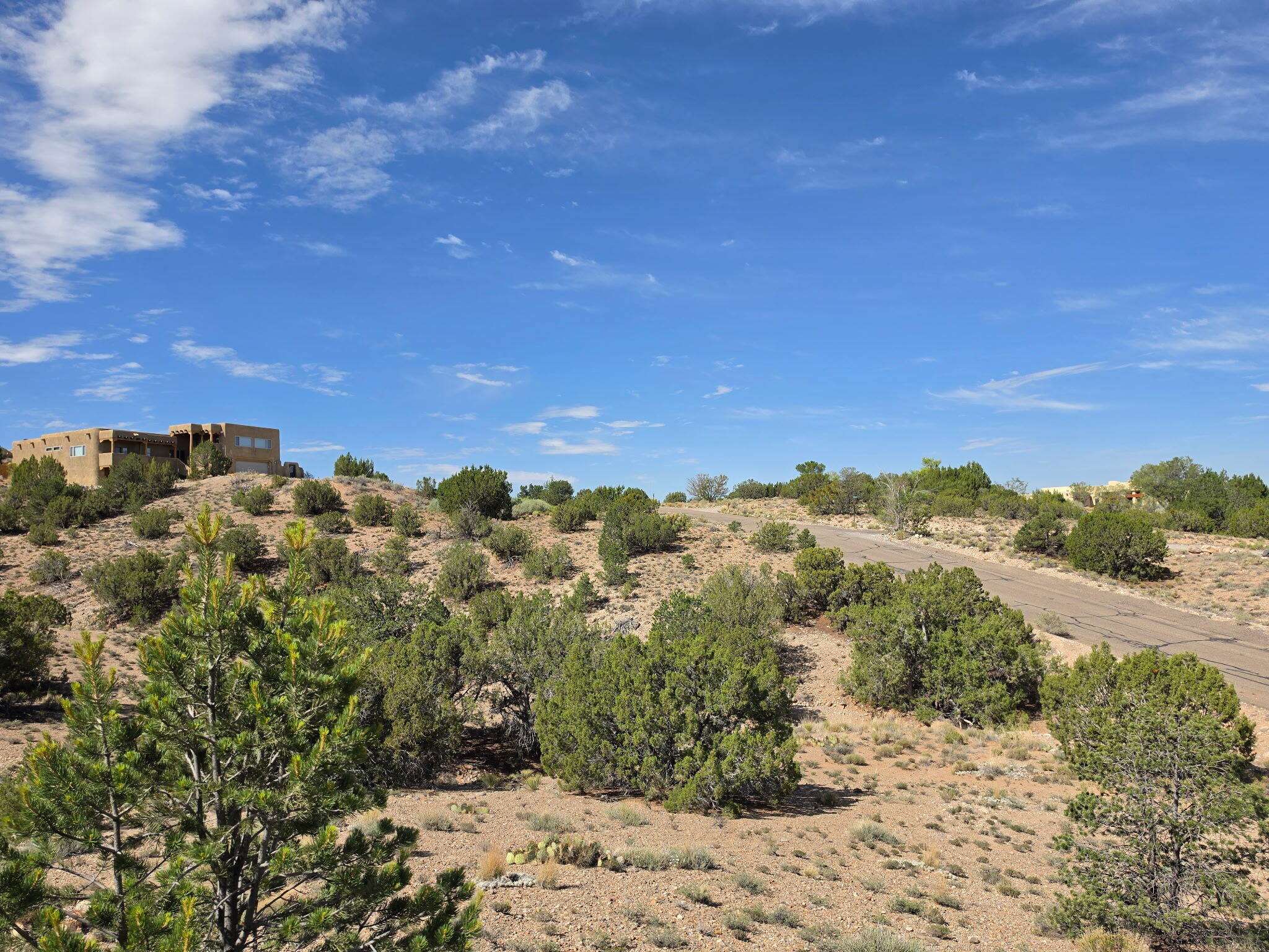 Yucca (Lot 105) Lane