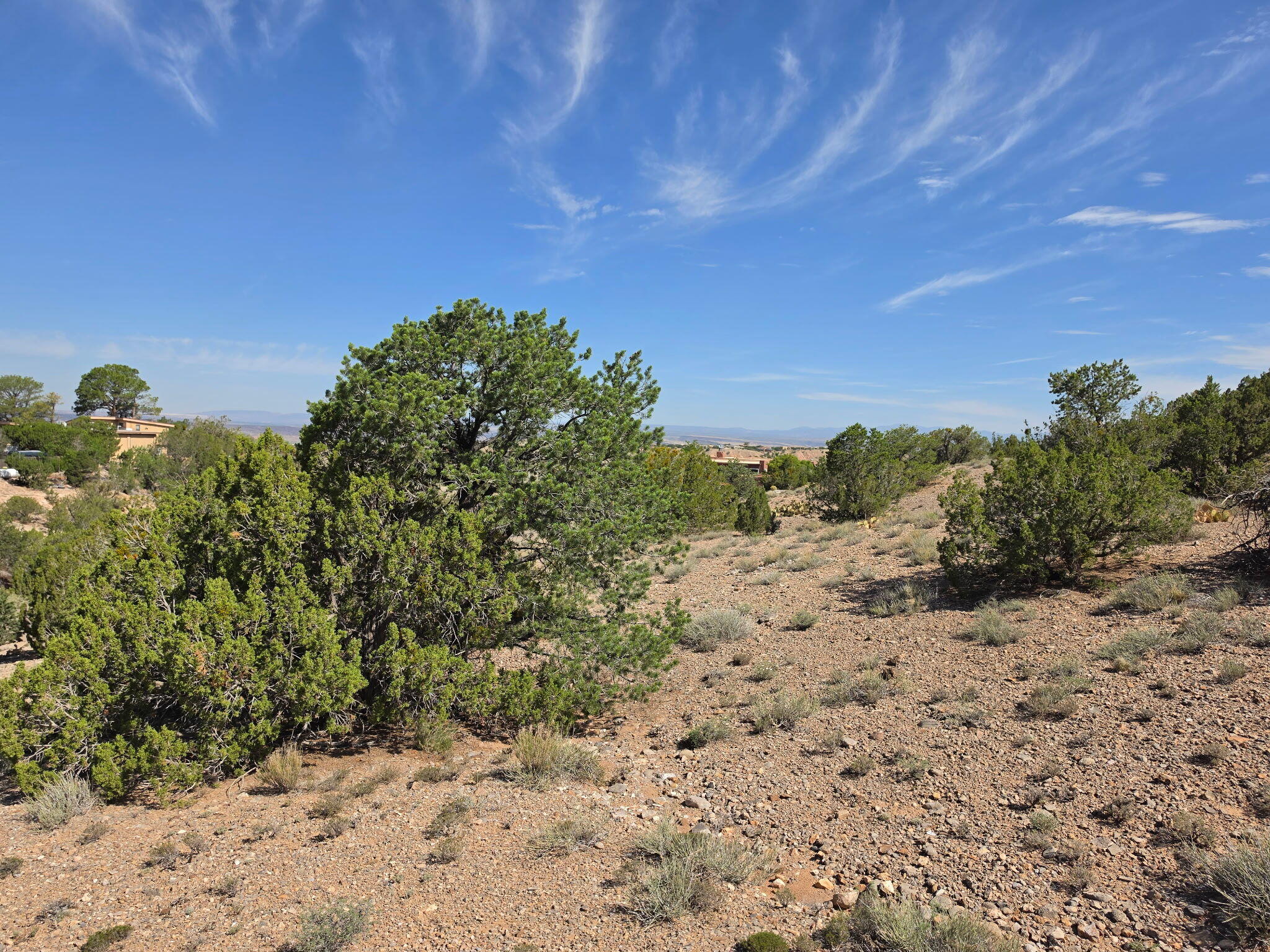 Yucca (Lot 105) Lane