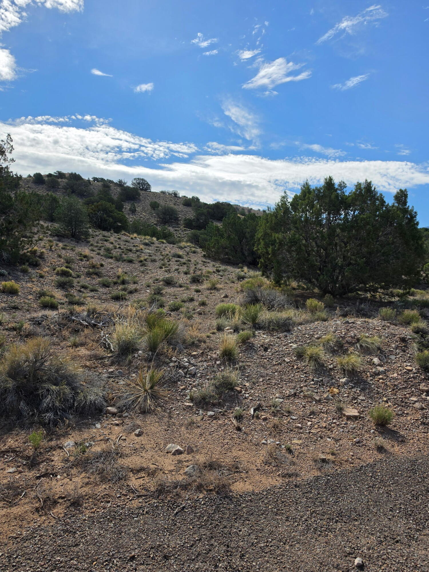 Yucca (Lot 105) Lane