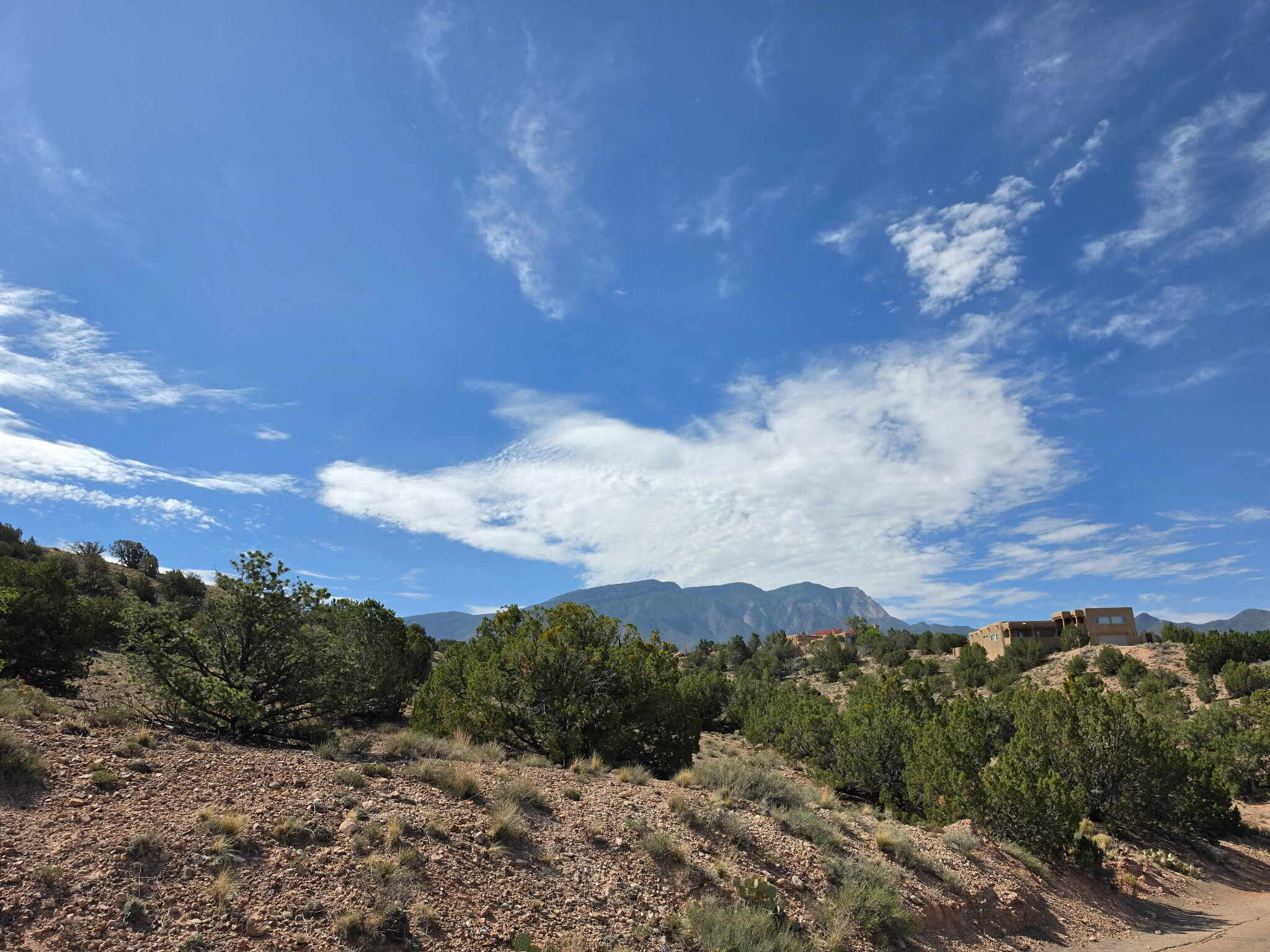 Yucca (Lot 105) Lane