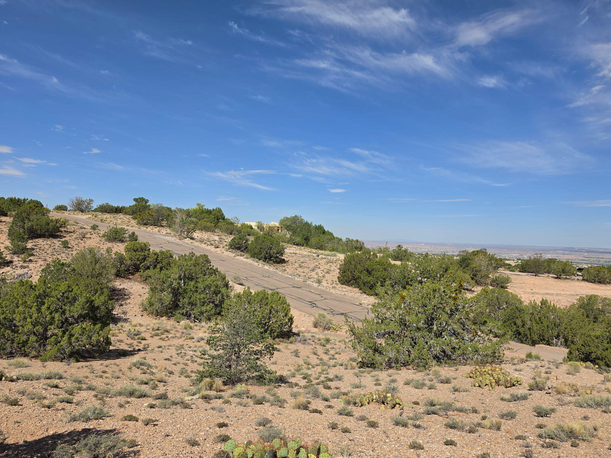 Yucca (Lot 105) Lane