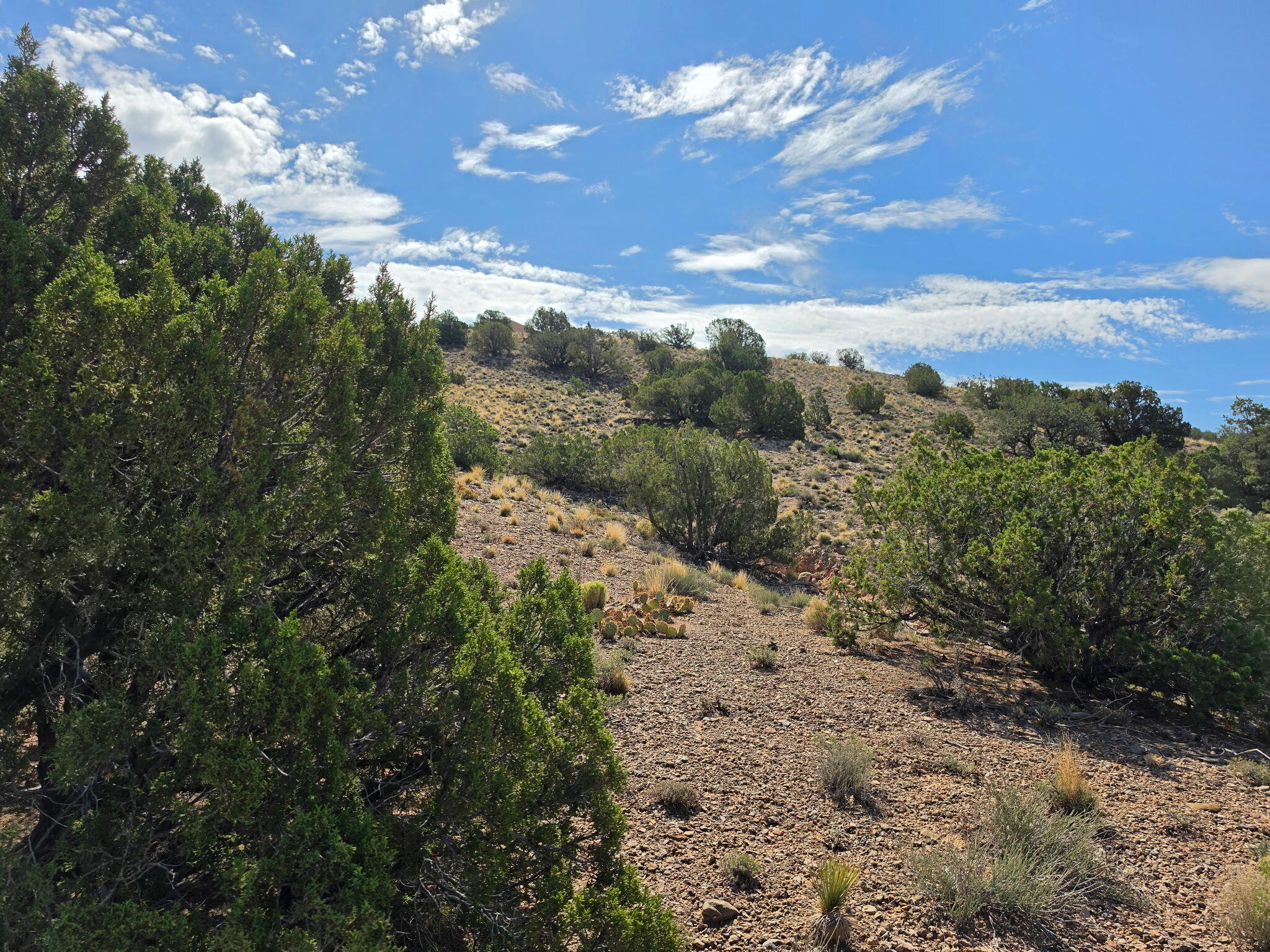 Yucca (Lot 105) Lane