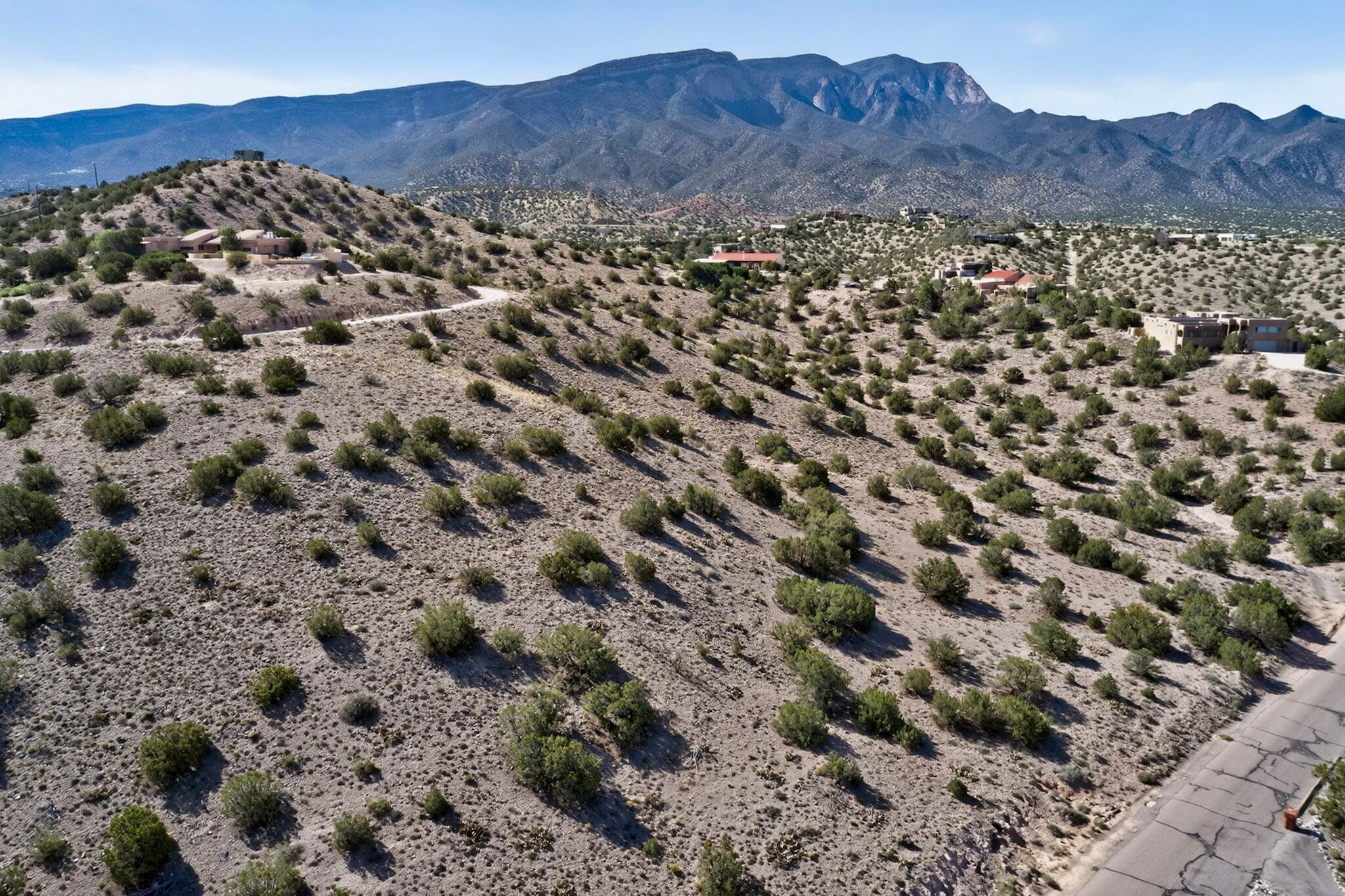 Yucca (Lot 105) Lane