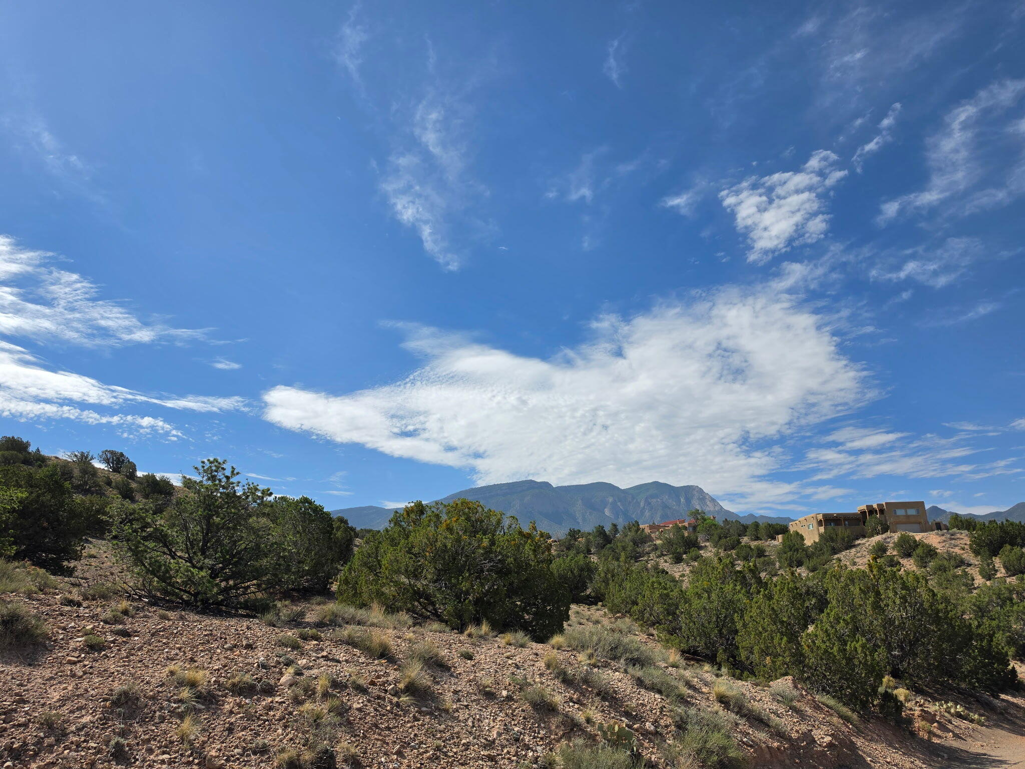Yucca (Lot 105) Lane