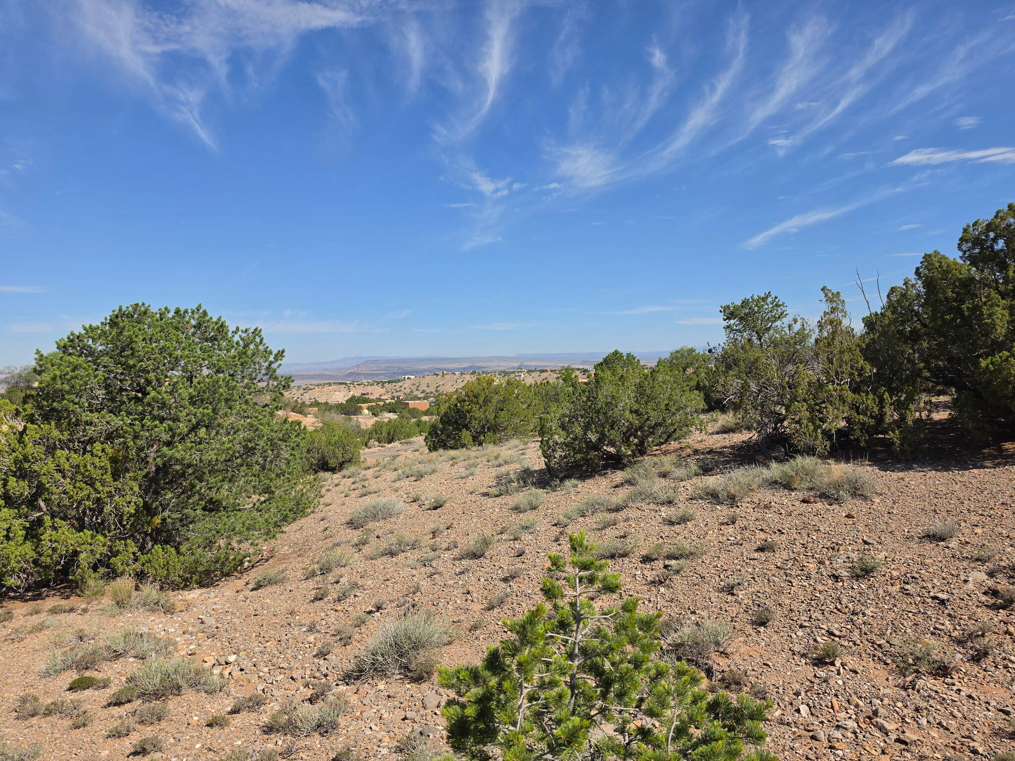 Yucca (Lot 105) Lane
