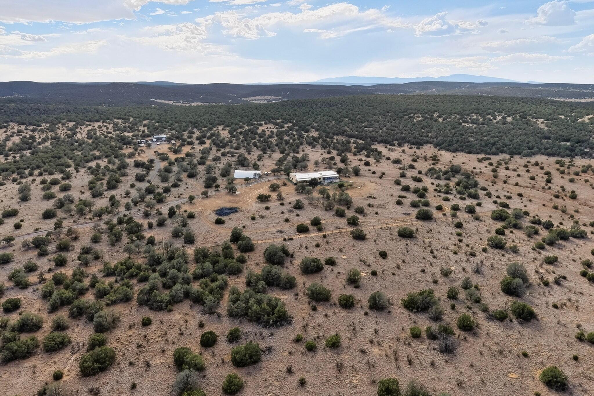 51 Wolf Trail
