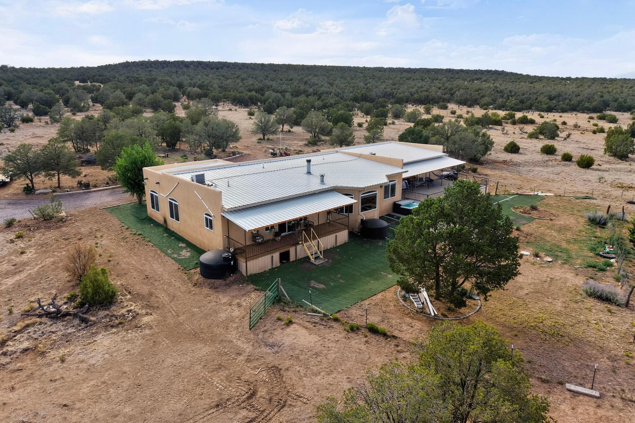 51 Wolf Trail