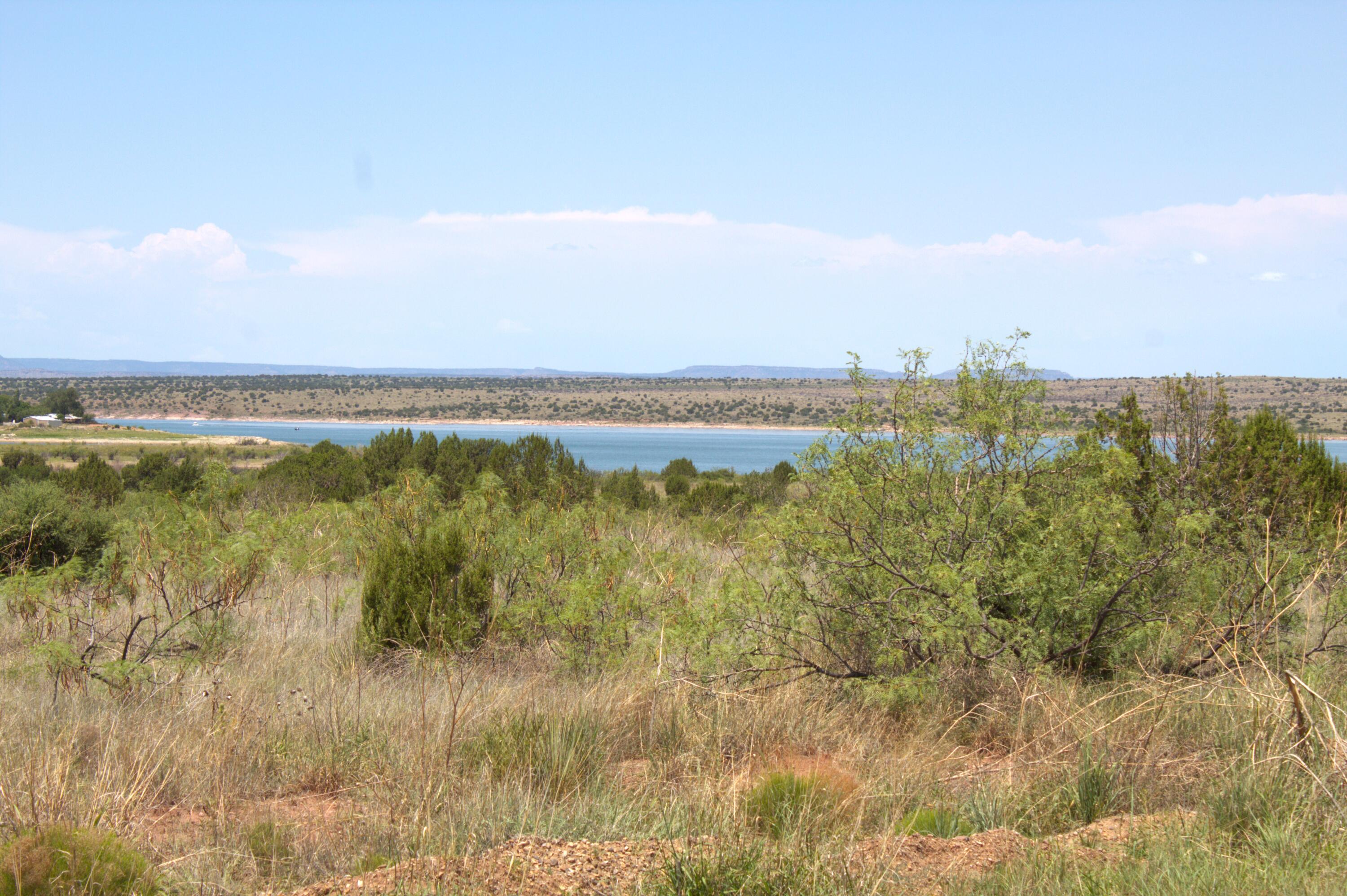 121 Yucca