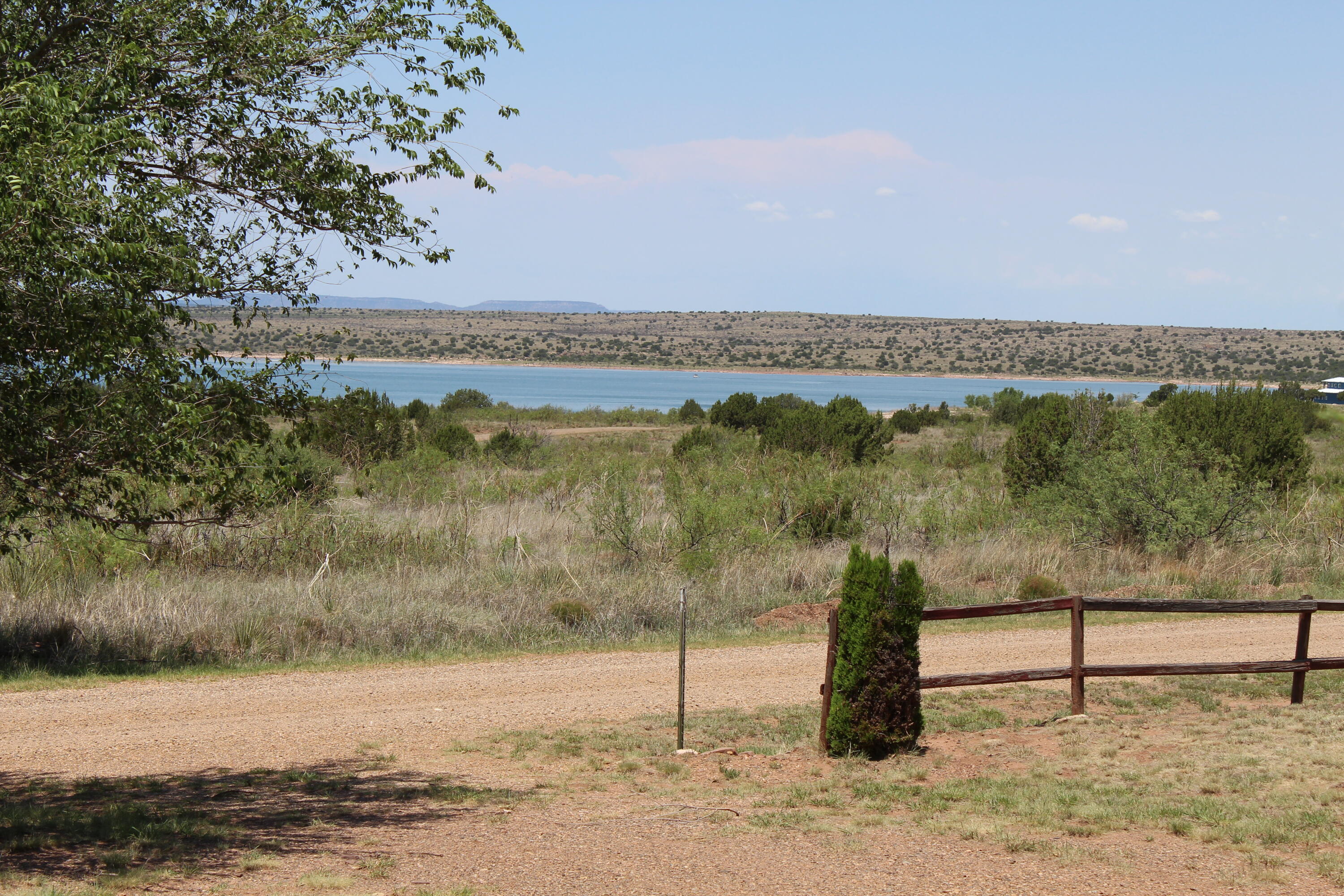 121 Yucca
