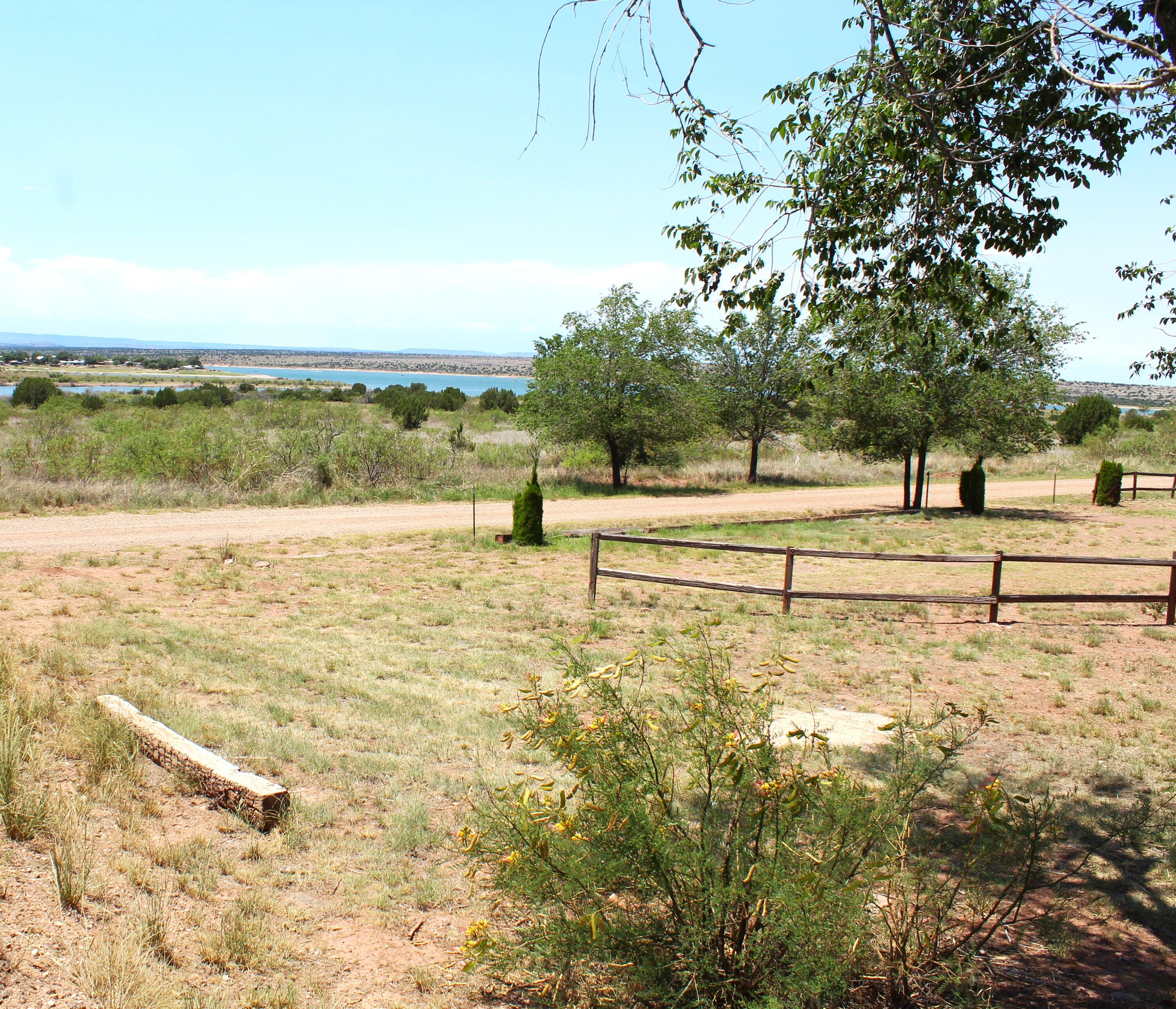 121 Yucca