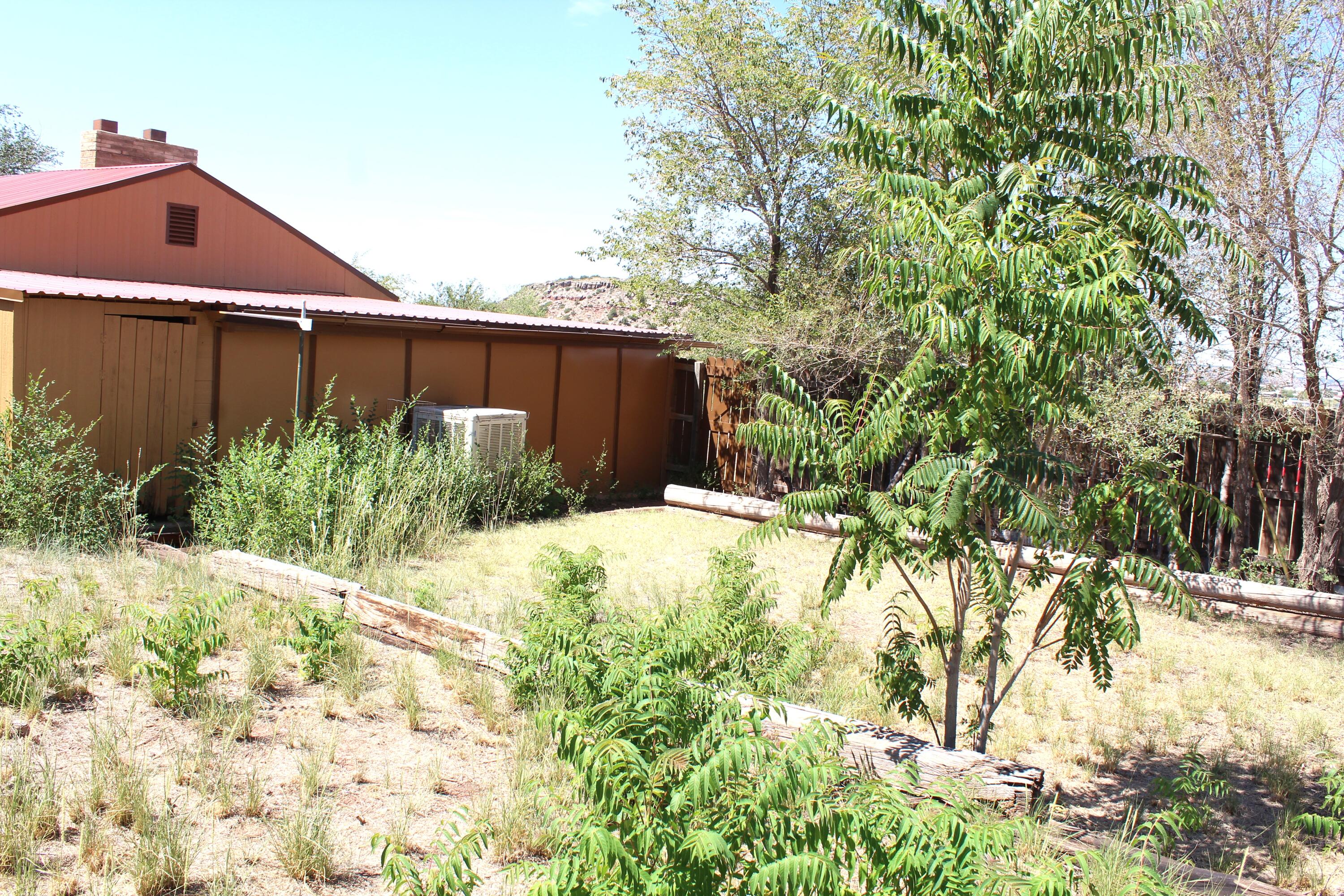 121 Yucca