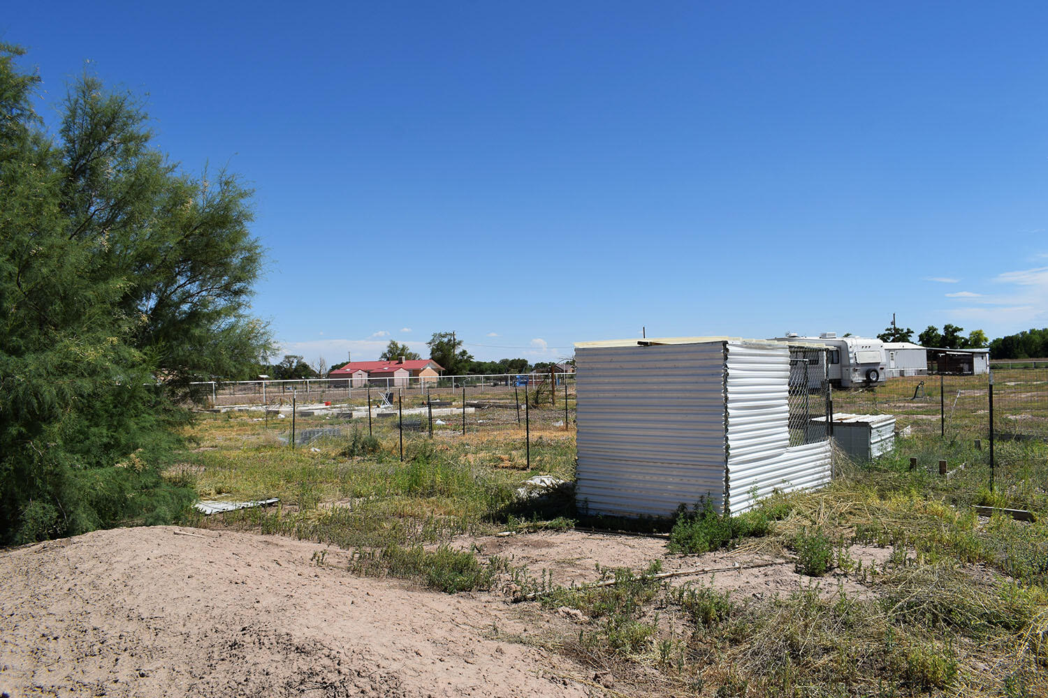 13 Sunflower Avenue
