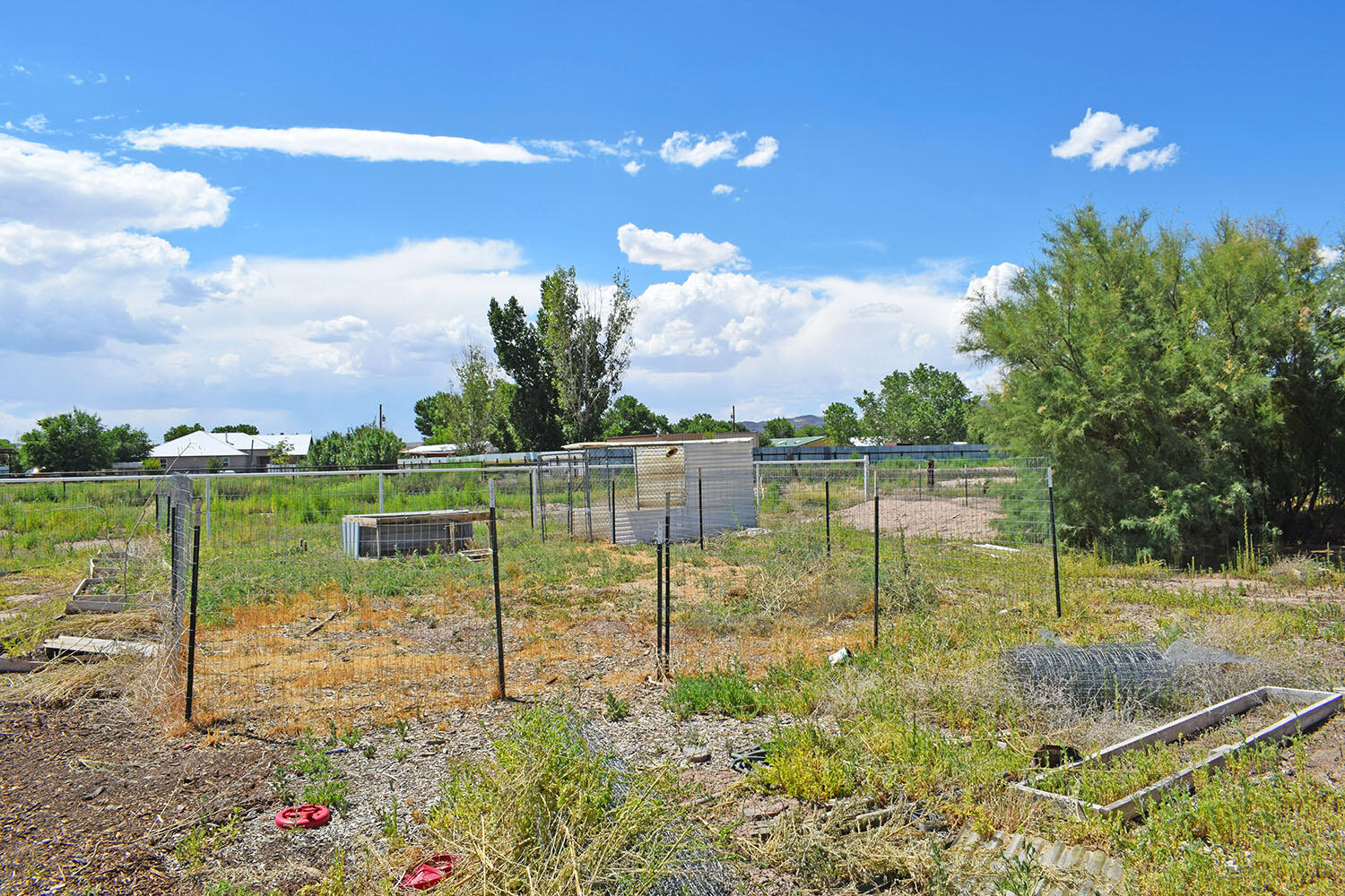 13 Sunflower Avenue