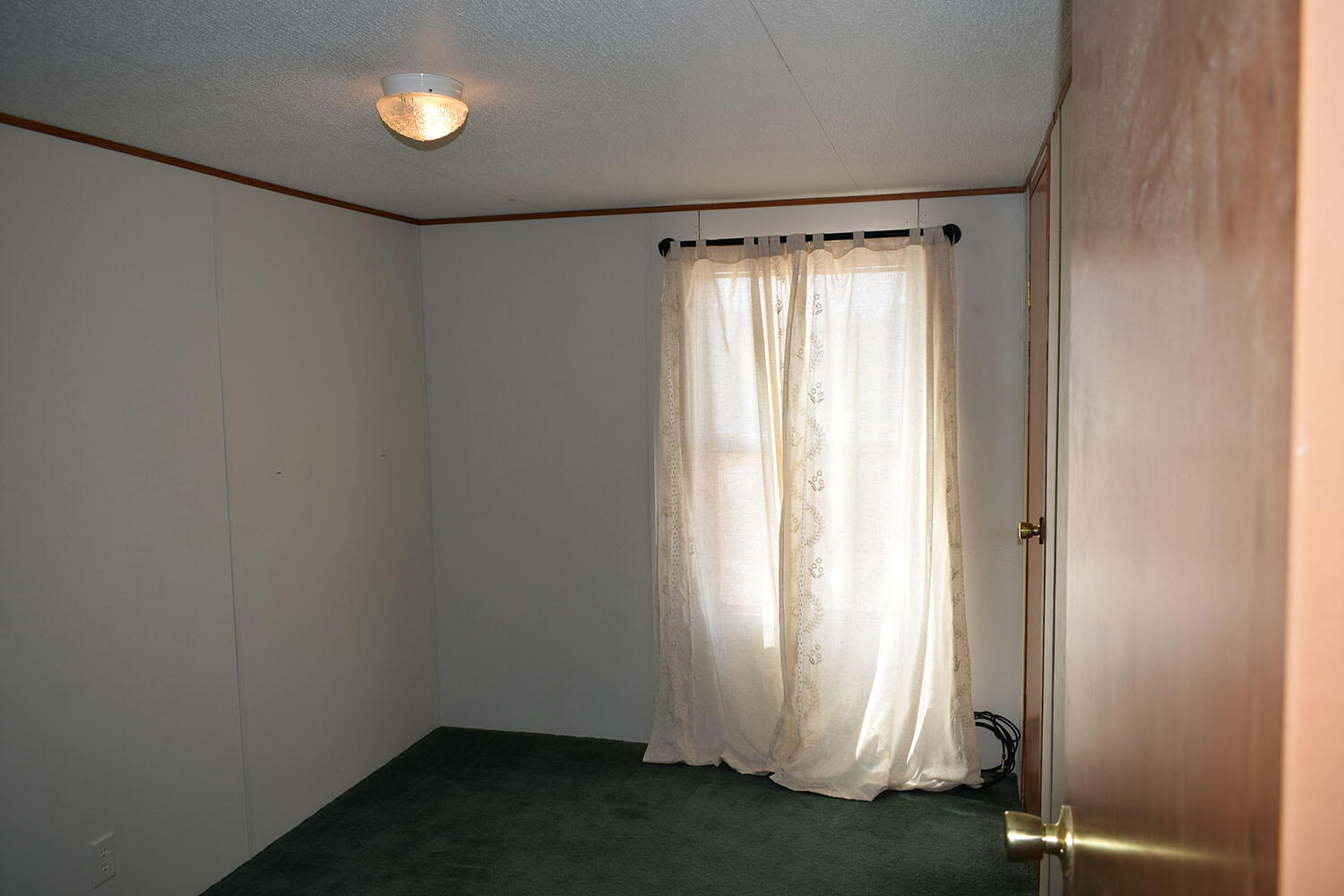 13 Sunflower Avenue