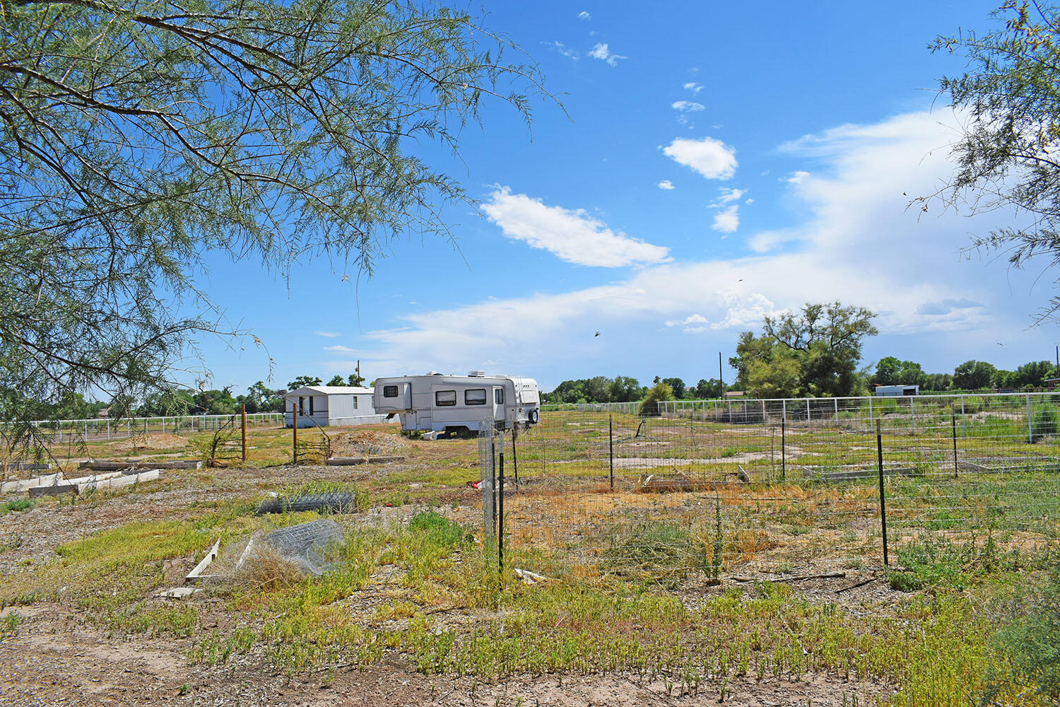 13 Sunflower Avenue