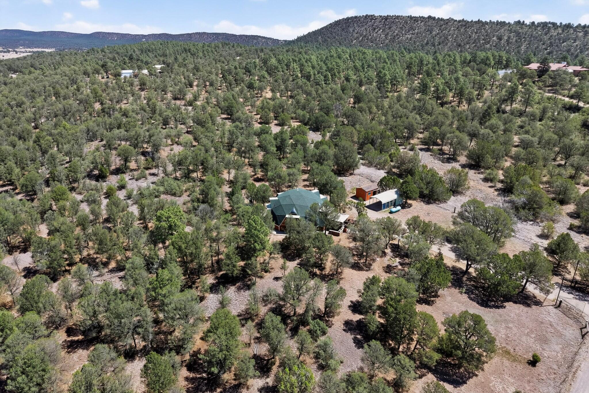 61 Coyote Road