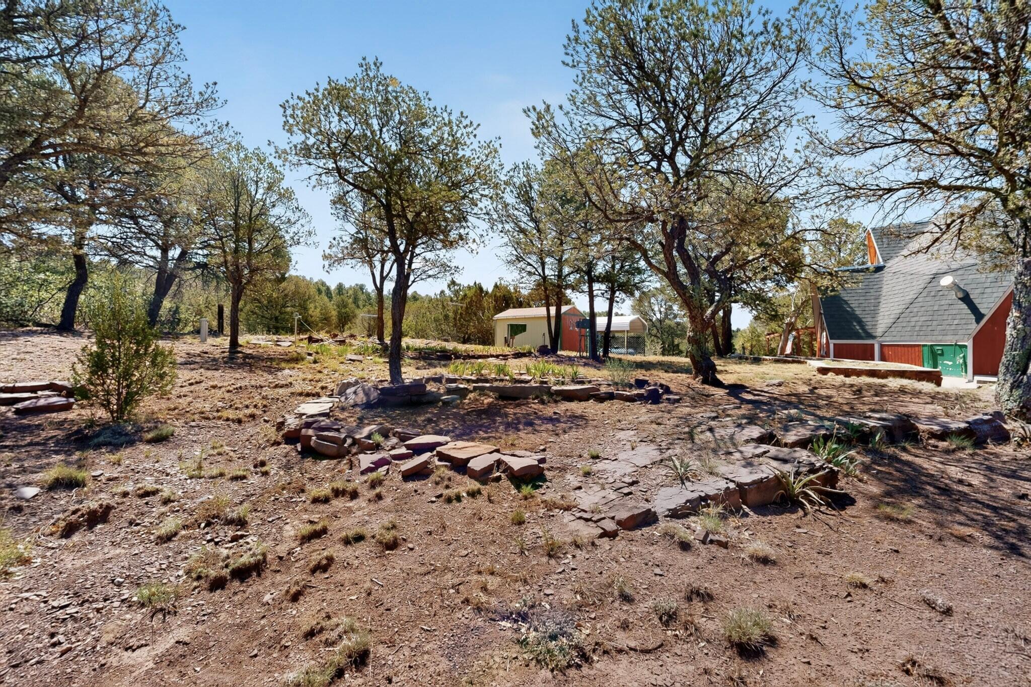 61 Coyote Road