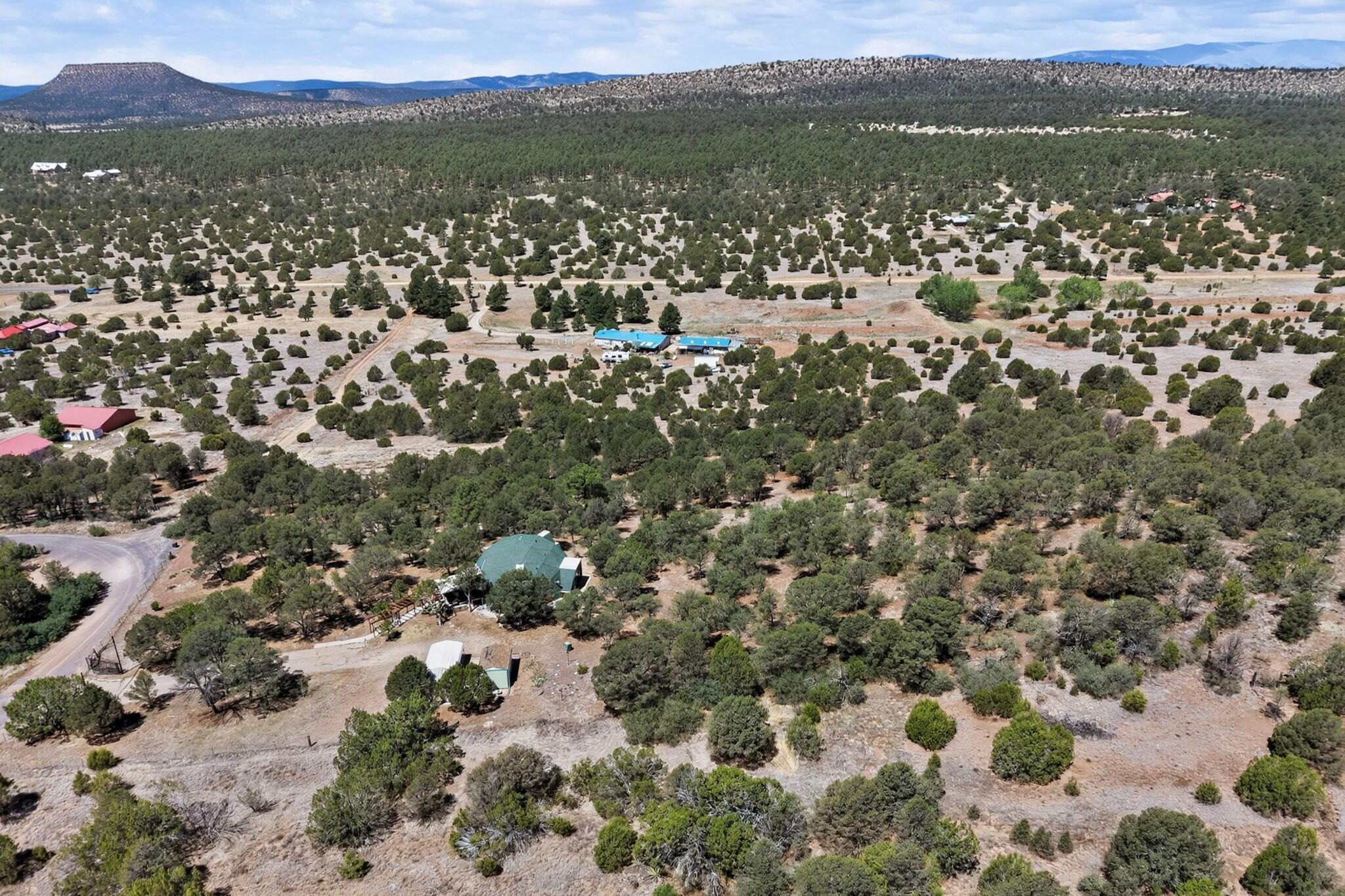 61 Coyote Road