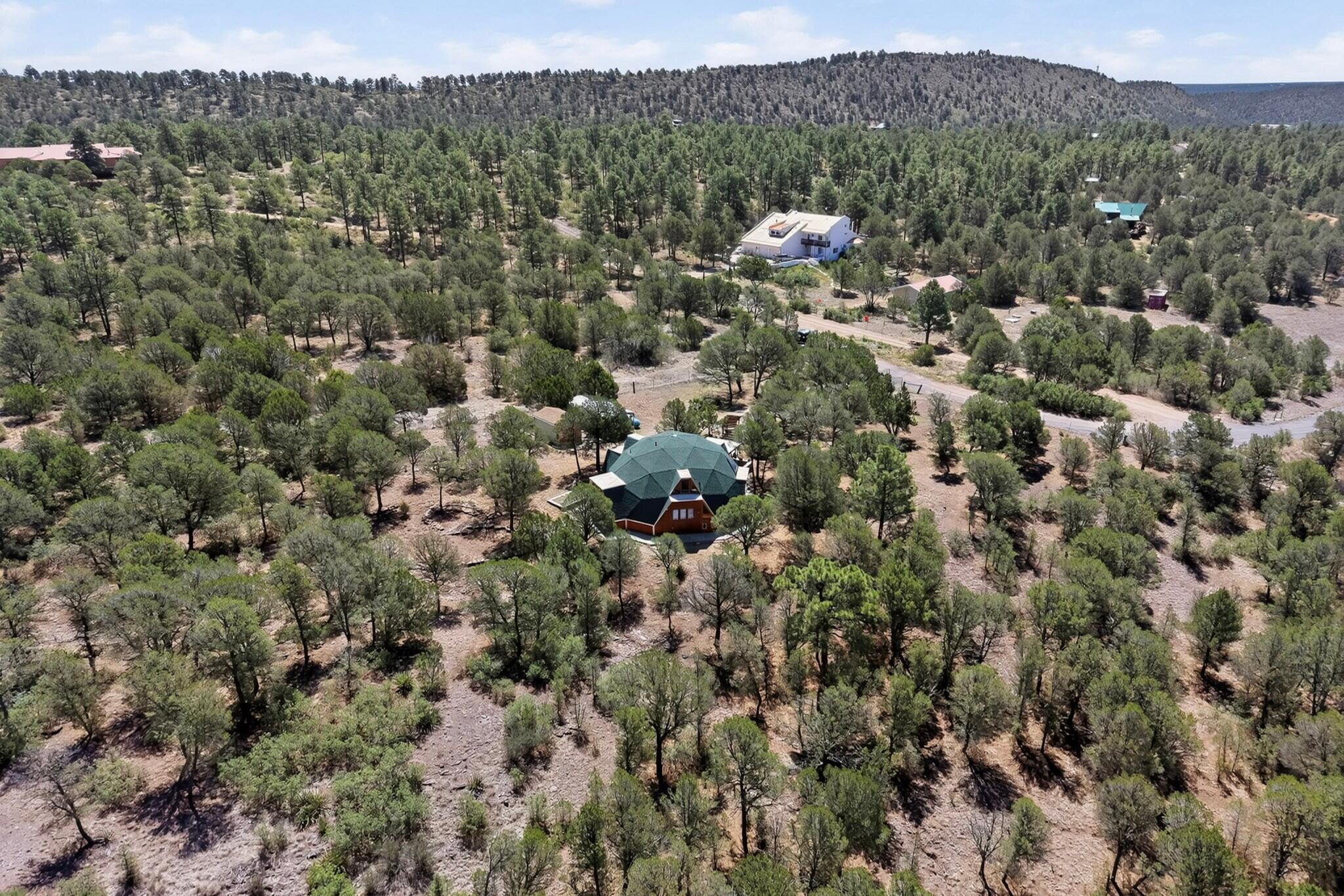 61 Coyote Road
