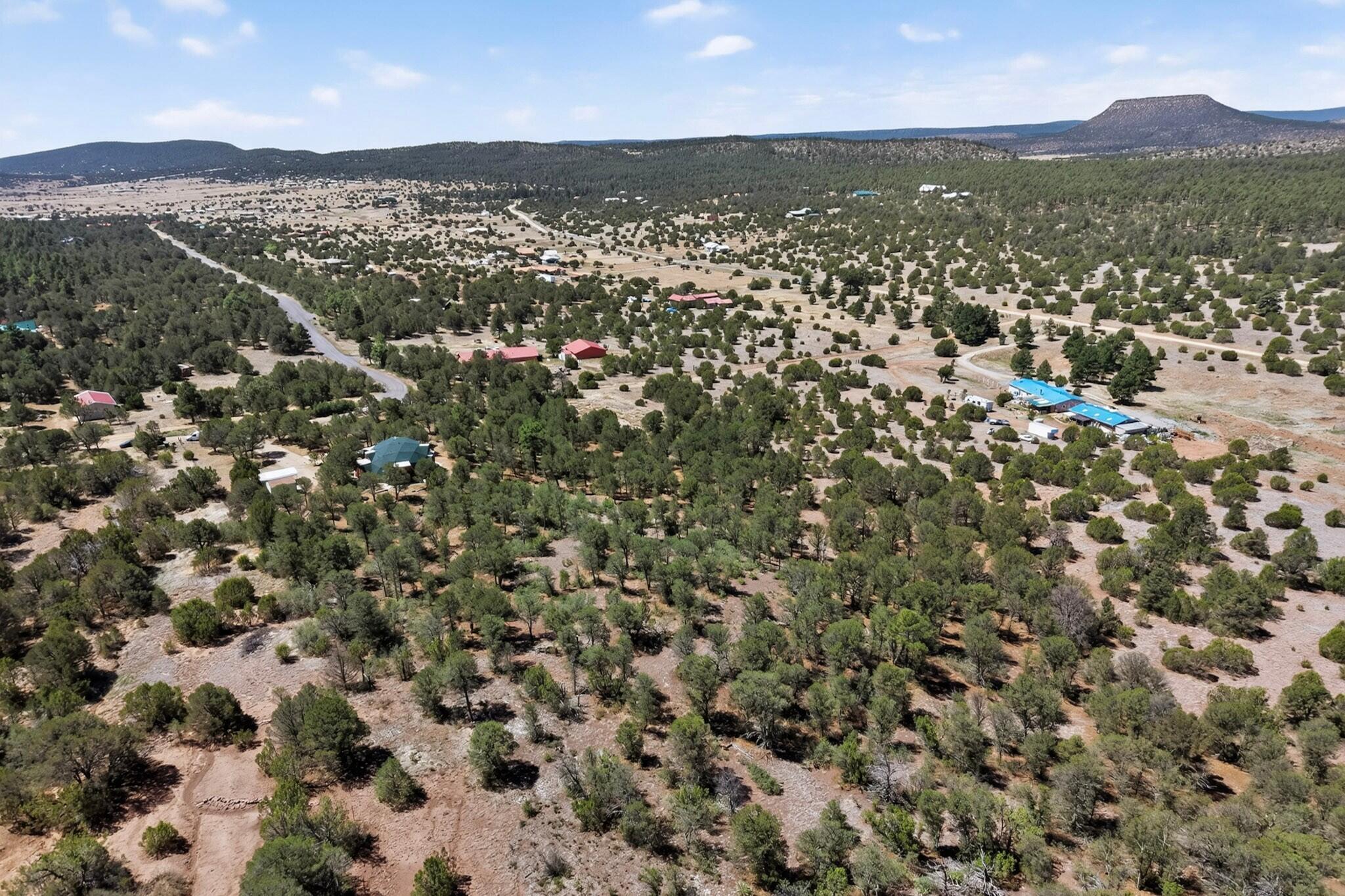 61 Coyote Road