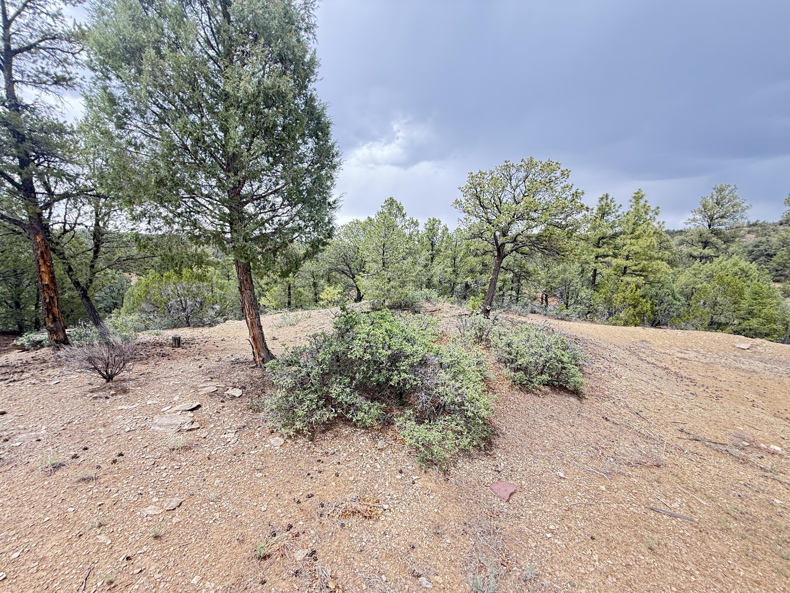 37 Lasso Lane