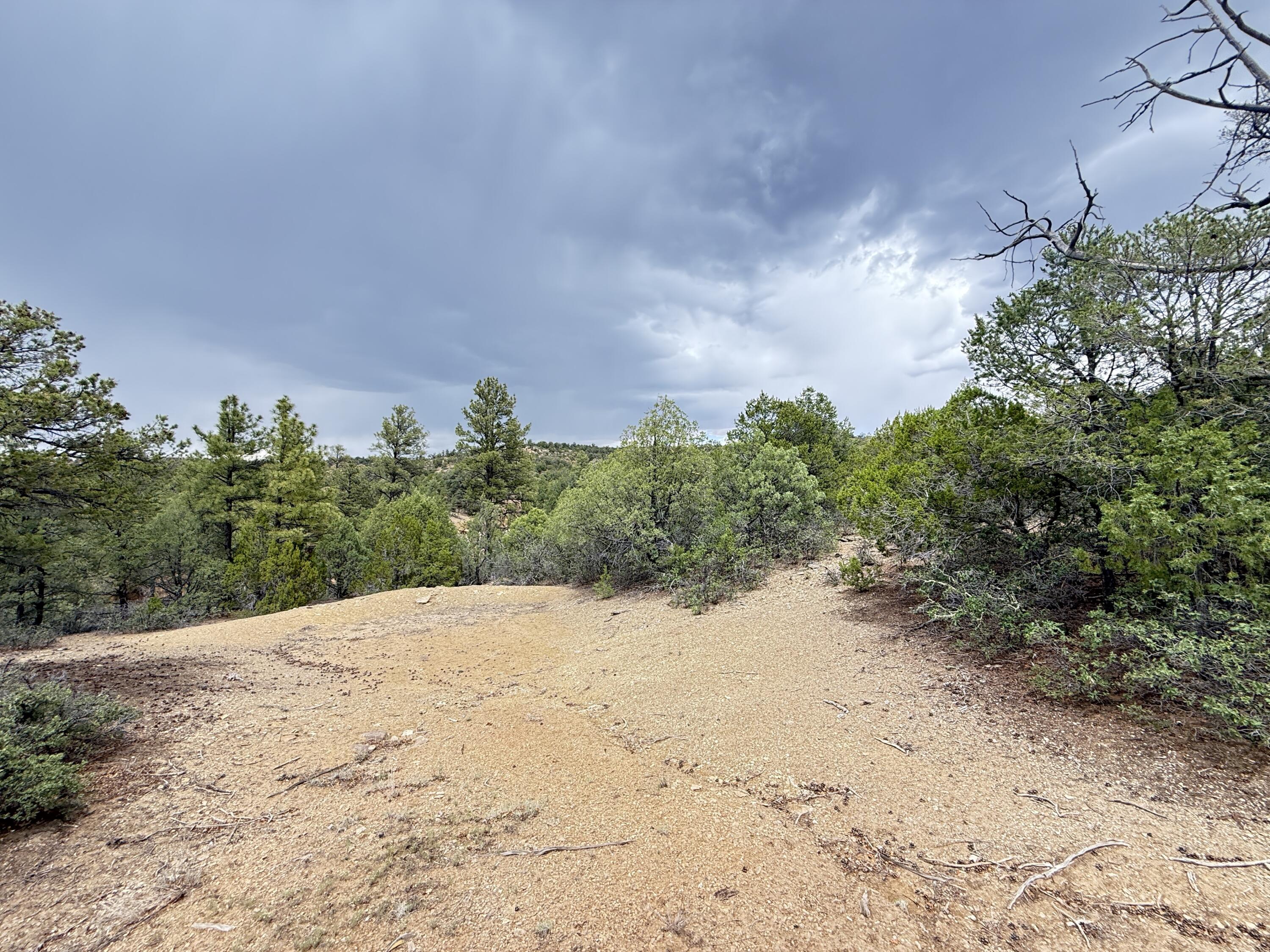 37 Lasso Lane