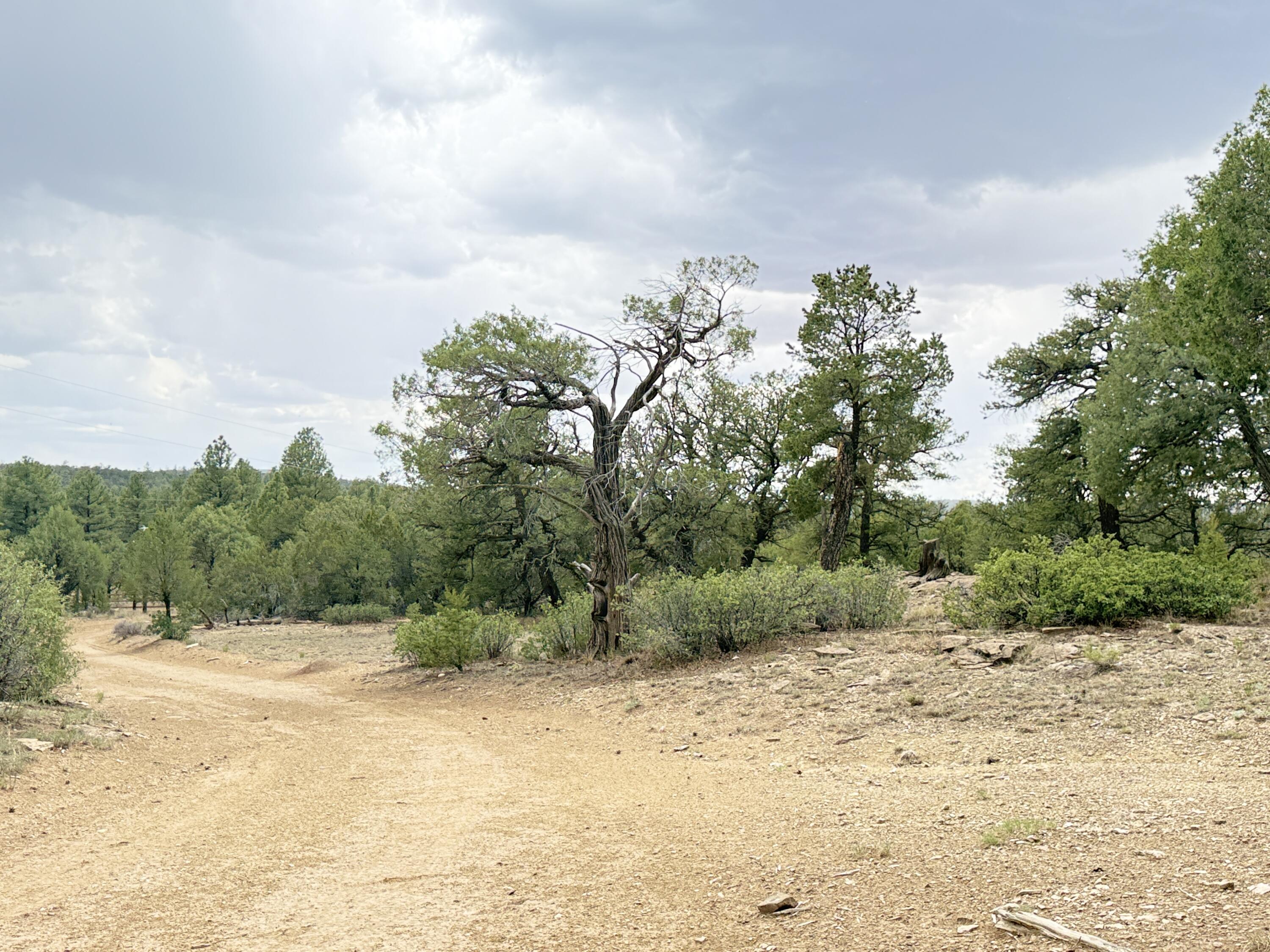 37 Lasso Lane
