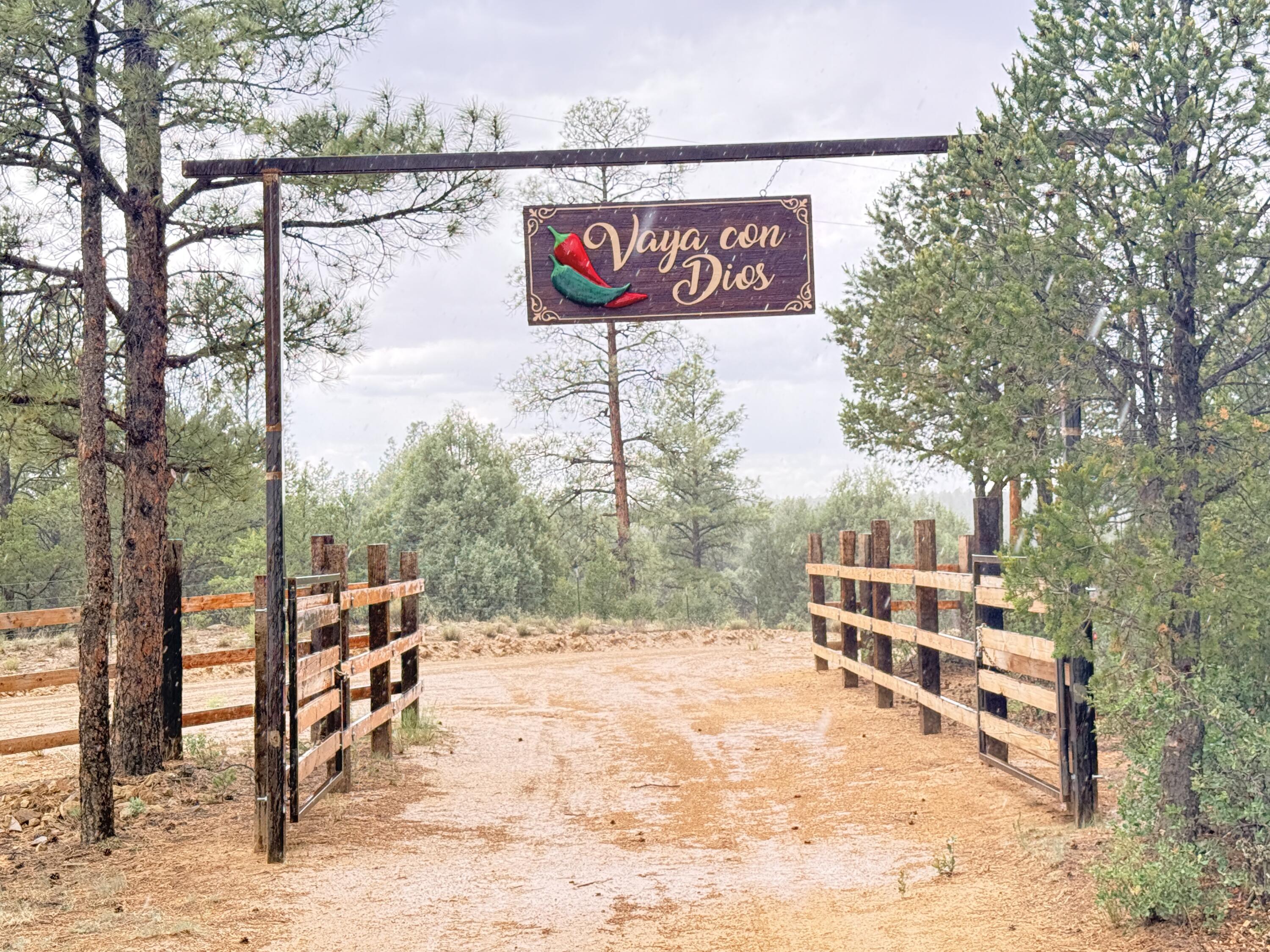 37 Lasso Lane