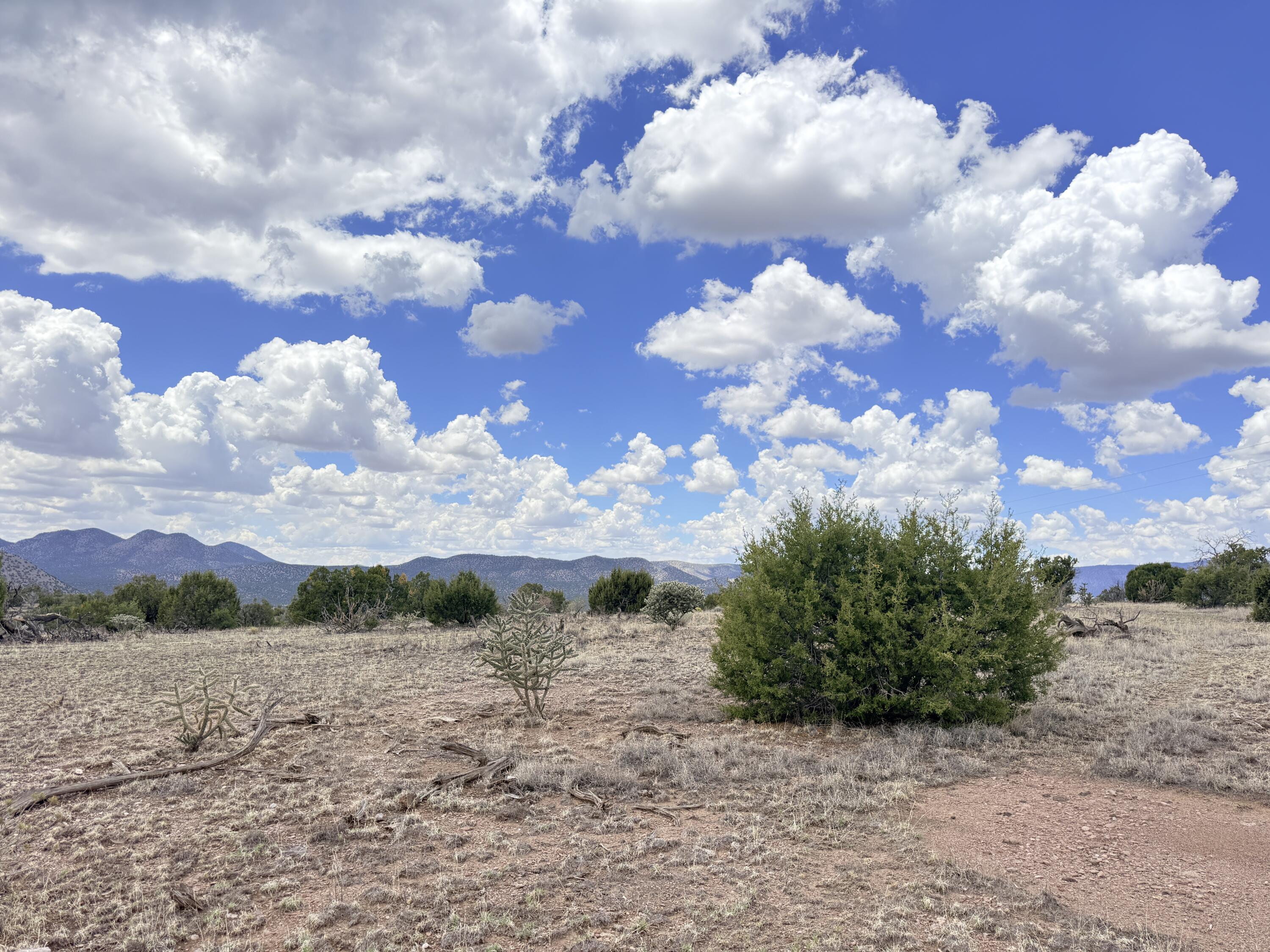 Lot 155 Pinon Springs