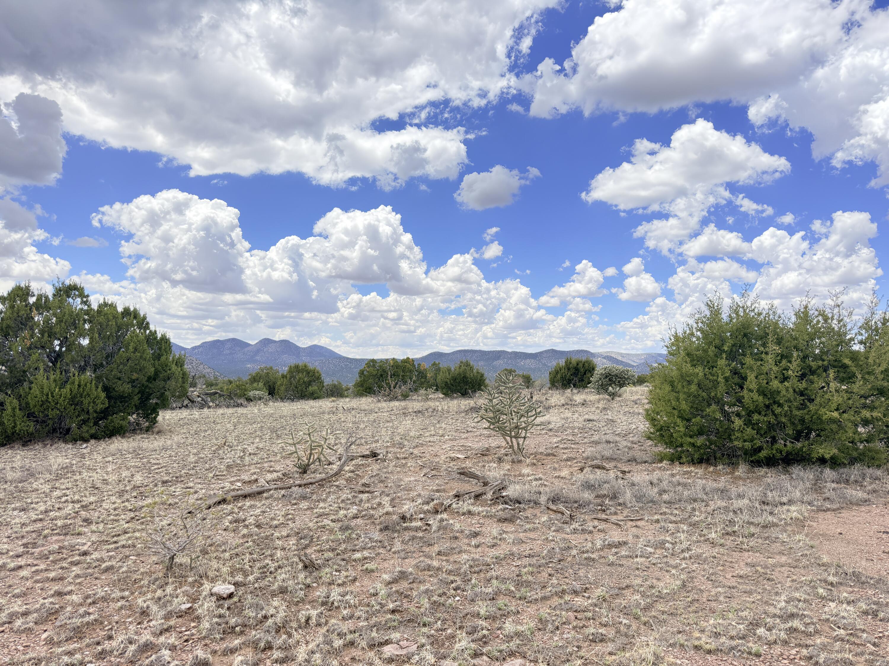 Lot 155 Pinon Springs