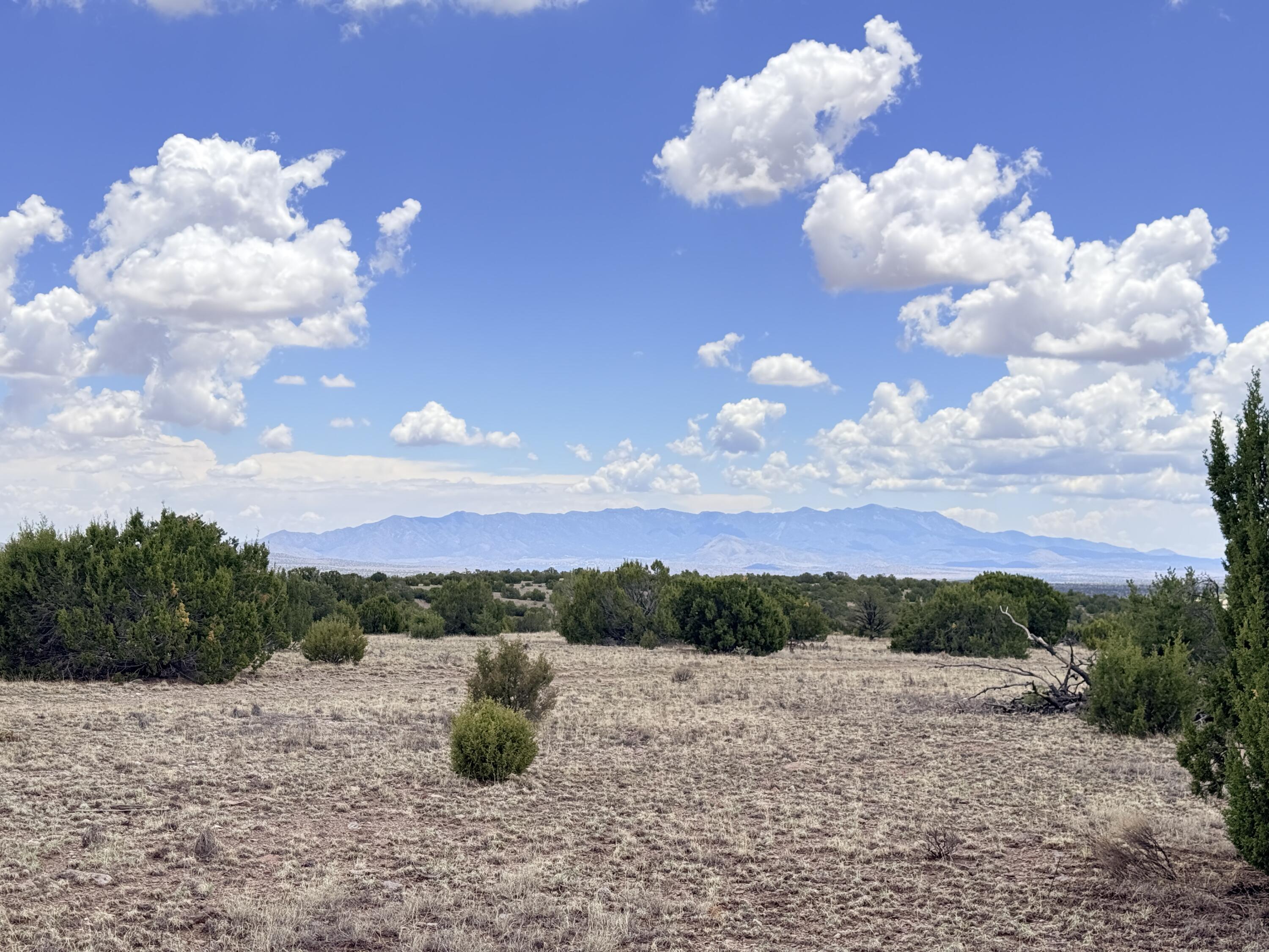 Lot 155 Pinon Springs