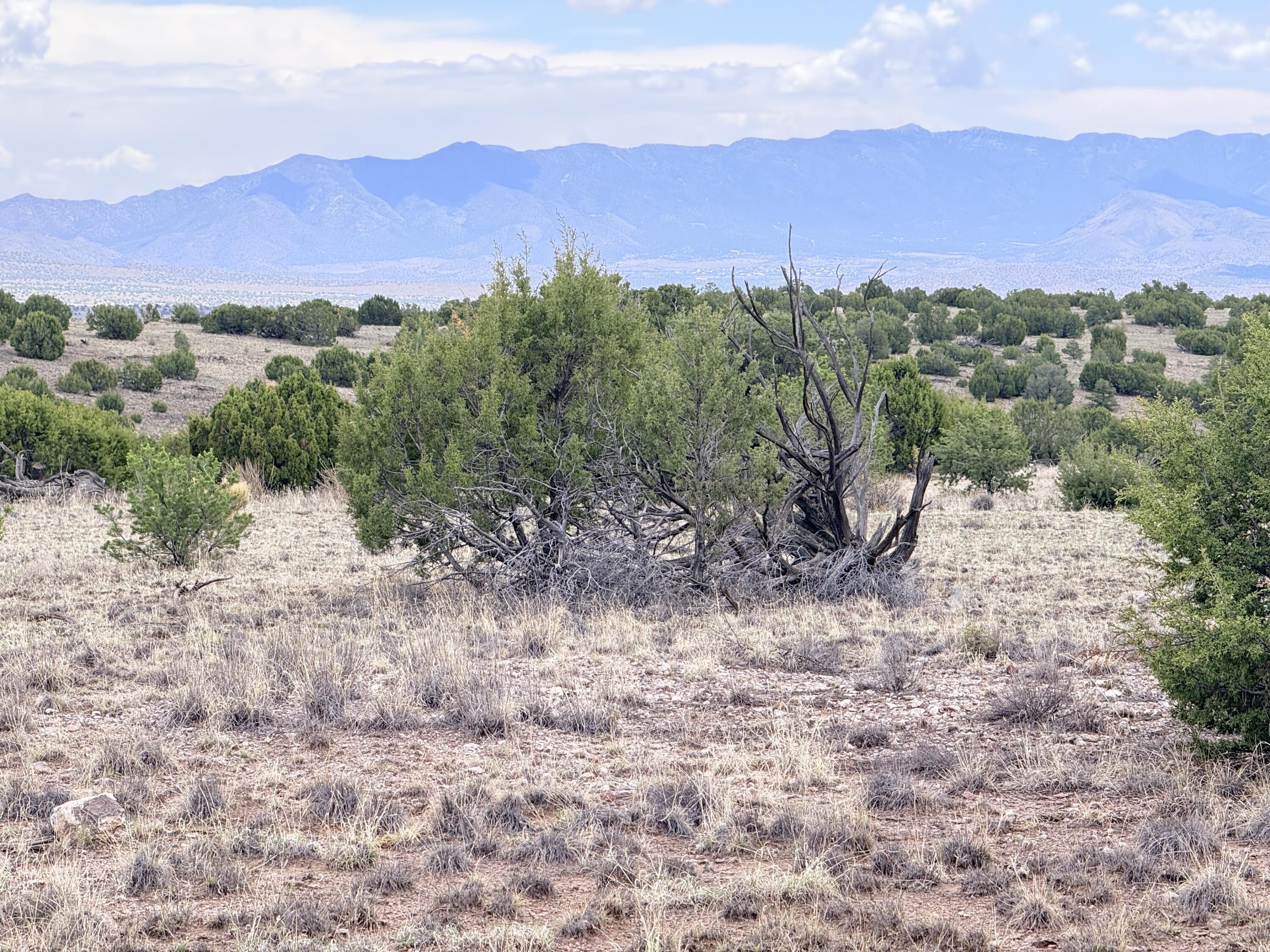Lot 155 Pinon Springs