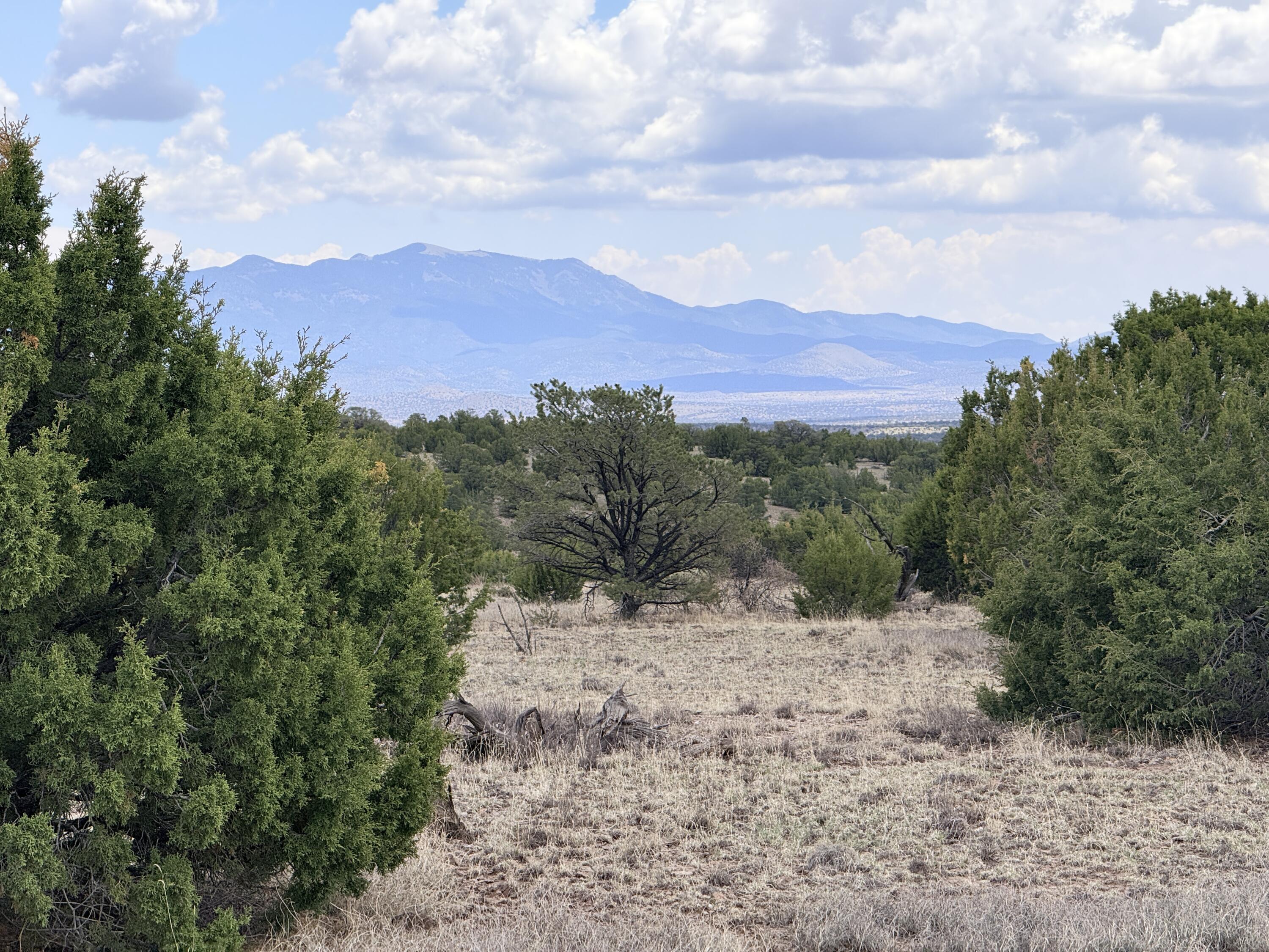Lot 155 Pinon Springs