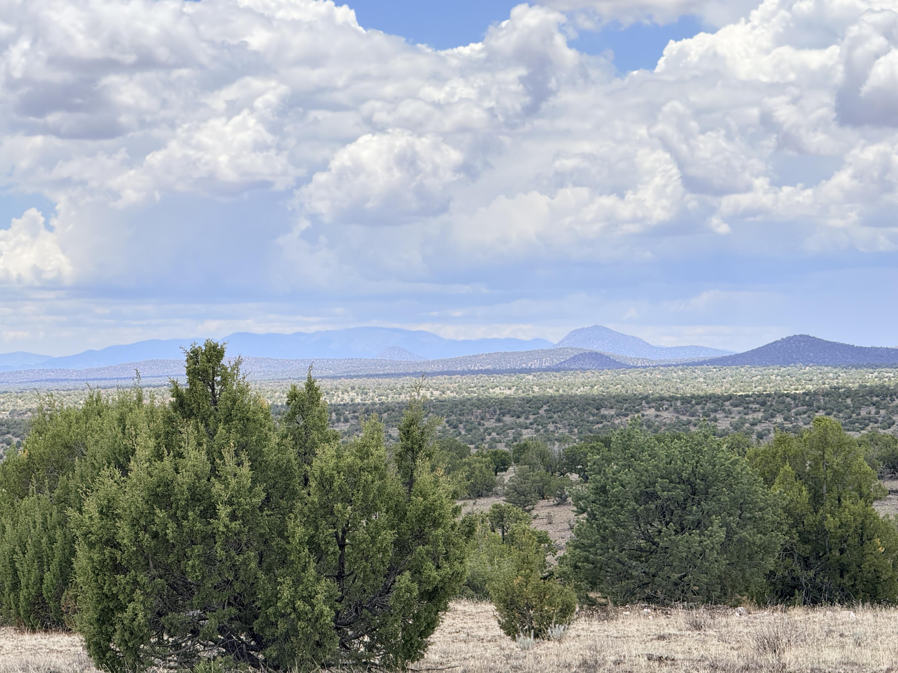 Lot 155 Pinon Springs